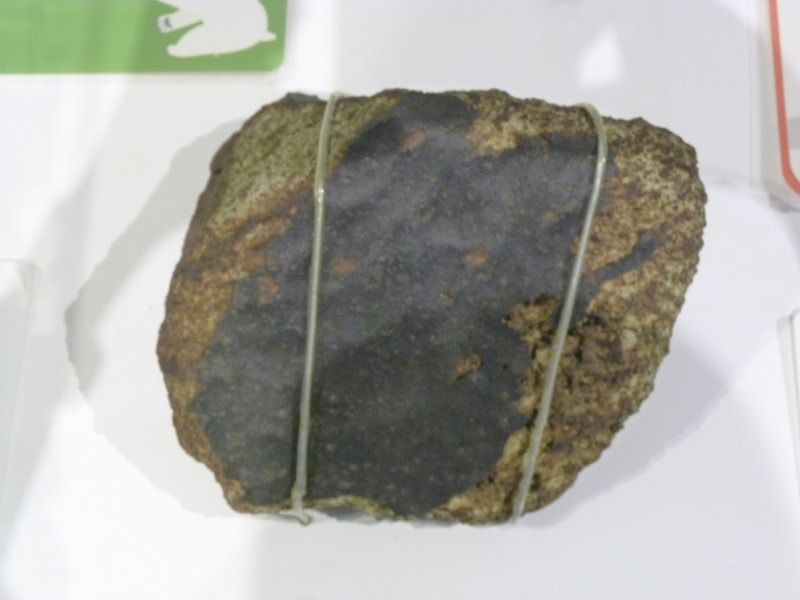 アポロ11号月面着陸50周年！日本隊の南極隕石発見も50周年！ - 南極