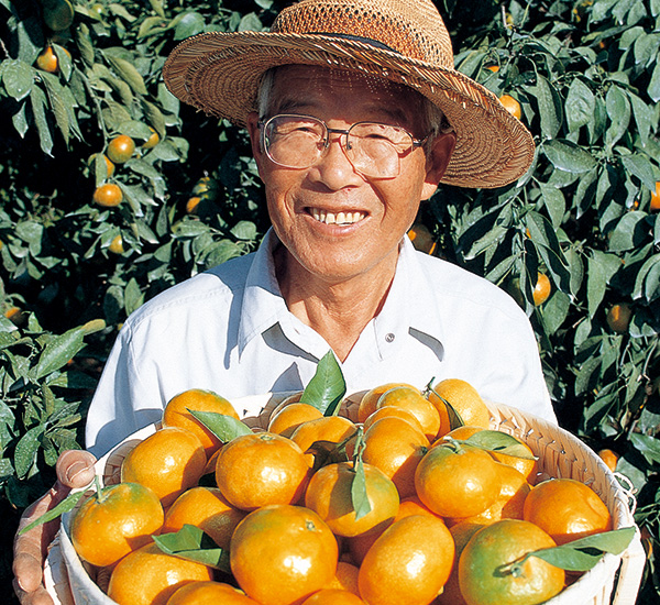 ワケあり愛媛みかん約9kg | のま果樹園