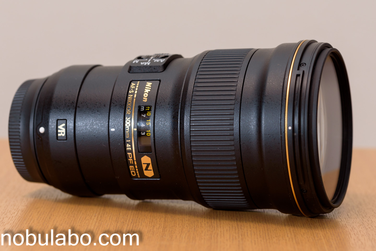 レンズ紹介・作例】ニコン・サンヨンPF AF-S NIKKOR 300mm f/4E PF ED