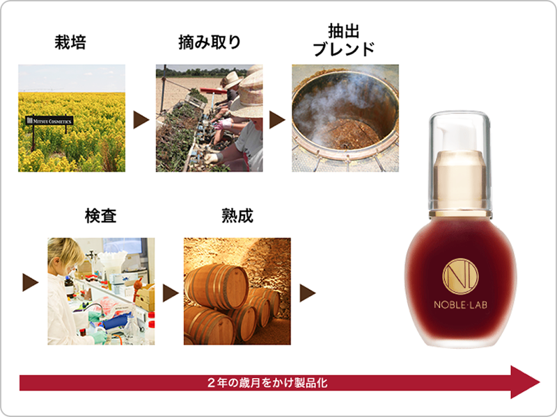 シミコンクラス｜≪公式≫ノーブル・ラボ