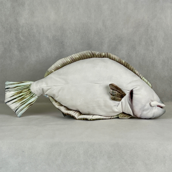 さかなくんぬいぐるみ ヒラメ – 雑貨店Noichi(ノイチ) ネットショップ