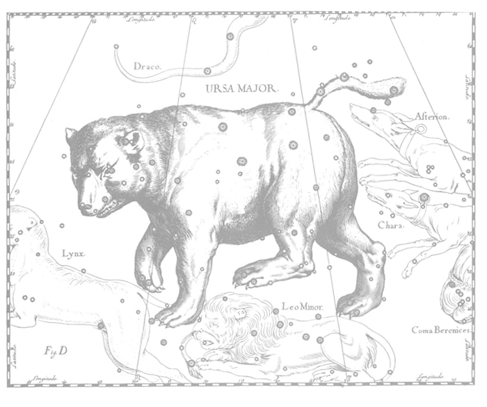 大人が楽しめる図鑑。想像力をかきたてる美しい博物誌 | nostos books