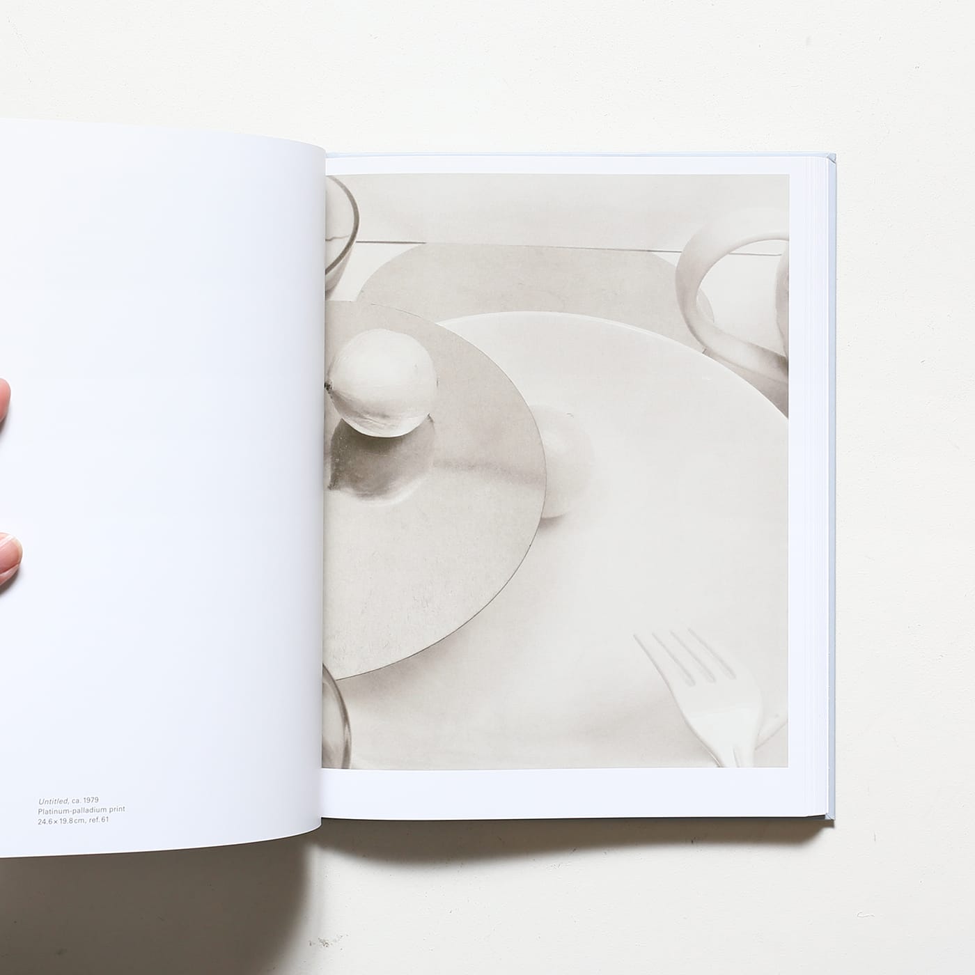 Jan Groover, Photographer: Laboratory of Forms | ヤン・グルーバー