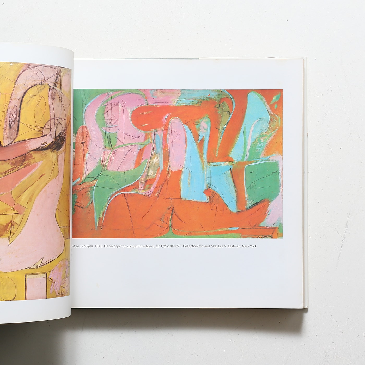 De Kooning | ウィレム・デ・クーニング | nostos books ノストスブックス