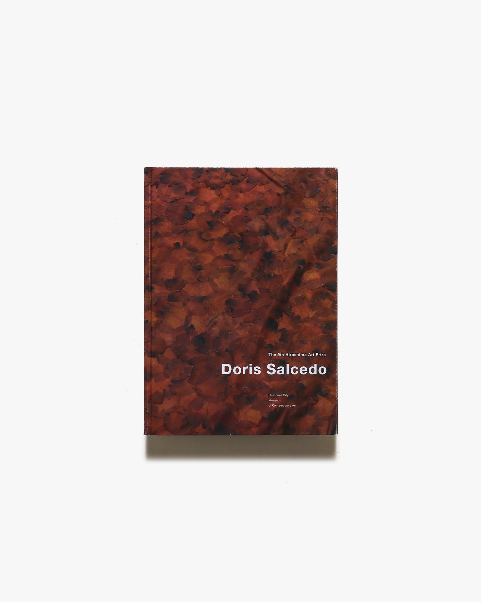 ドリス・サルセド展 | 広島市現代美術館 | nostos books ノストスブックス