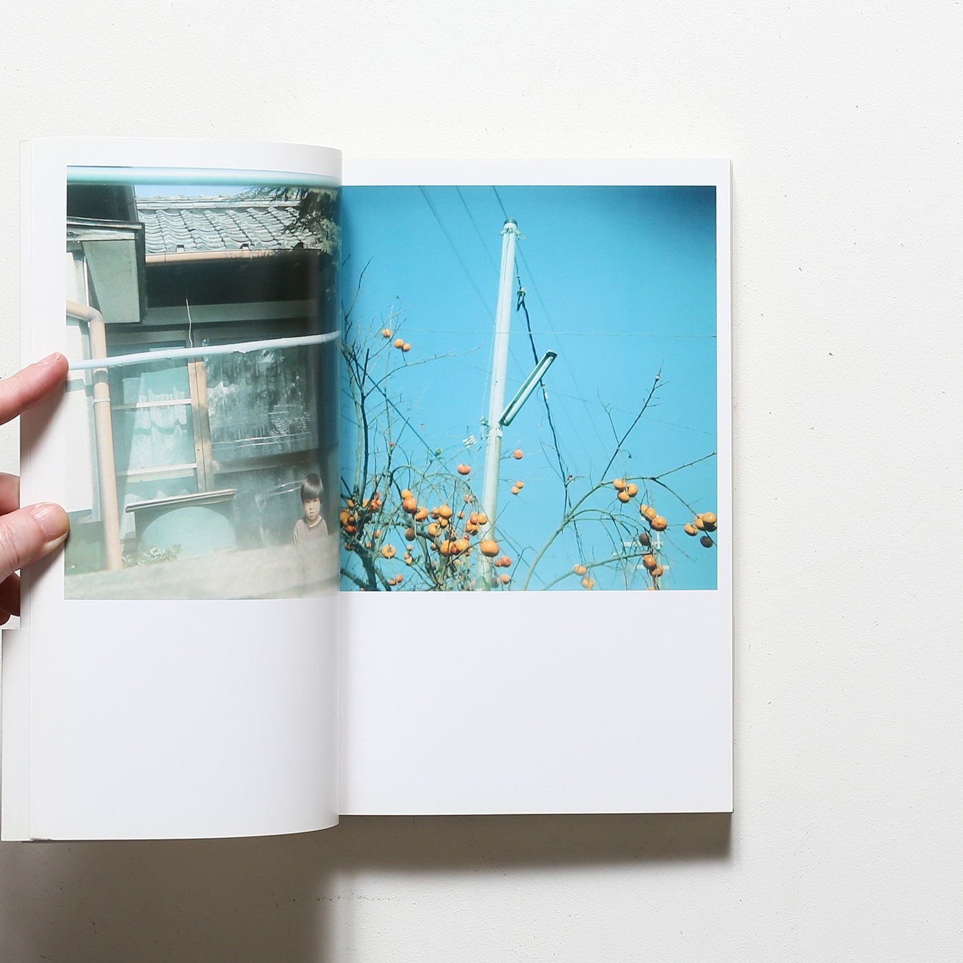 Cui Cui | 川内倫子 | nostos books ノストスブックス