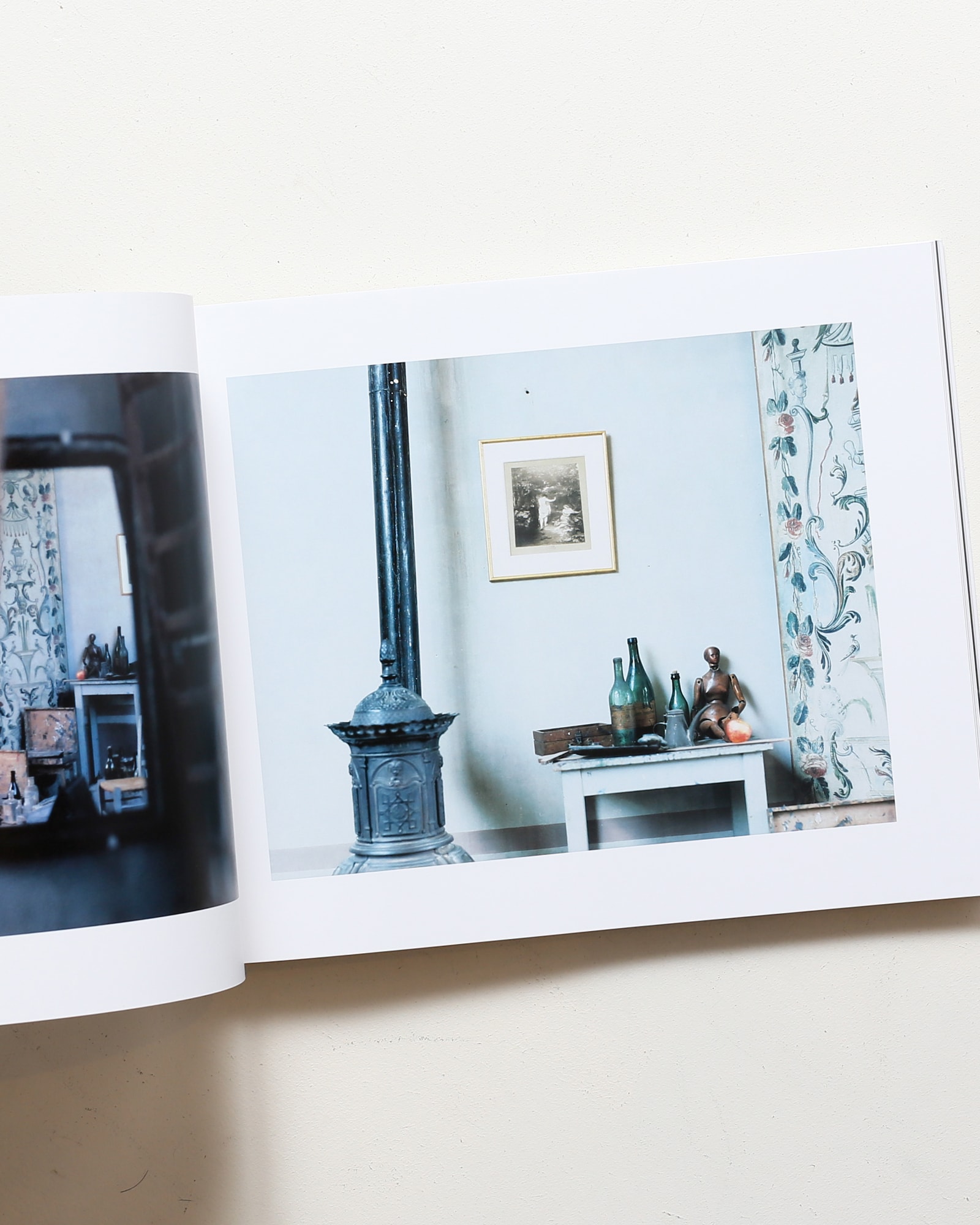 写真と絵画 セザンヌより 柴田敏雄と鈴木理策 | nostos books ノストス