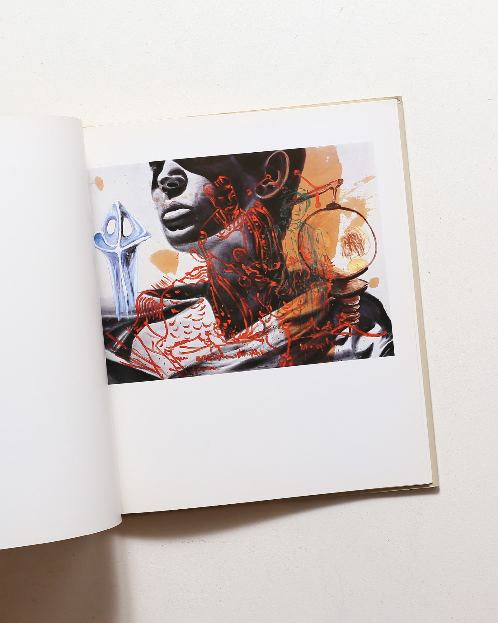 David Salle | デヴィッド・サーレ | nostos books ノストスブックス