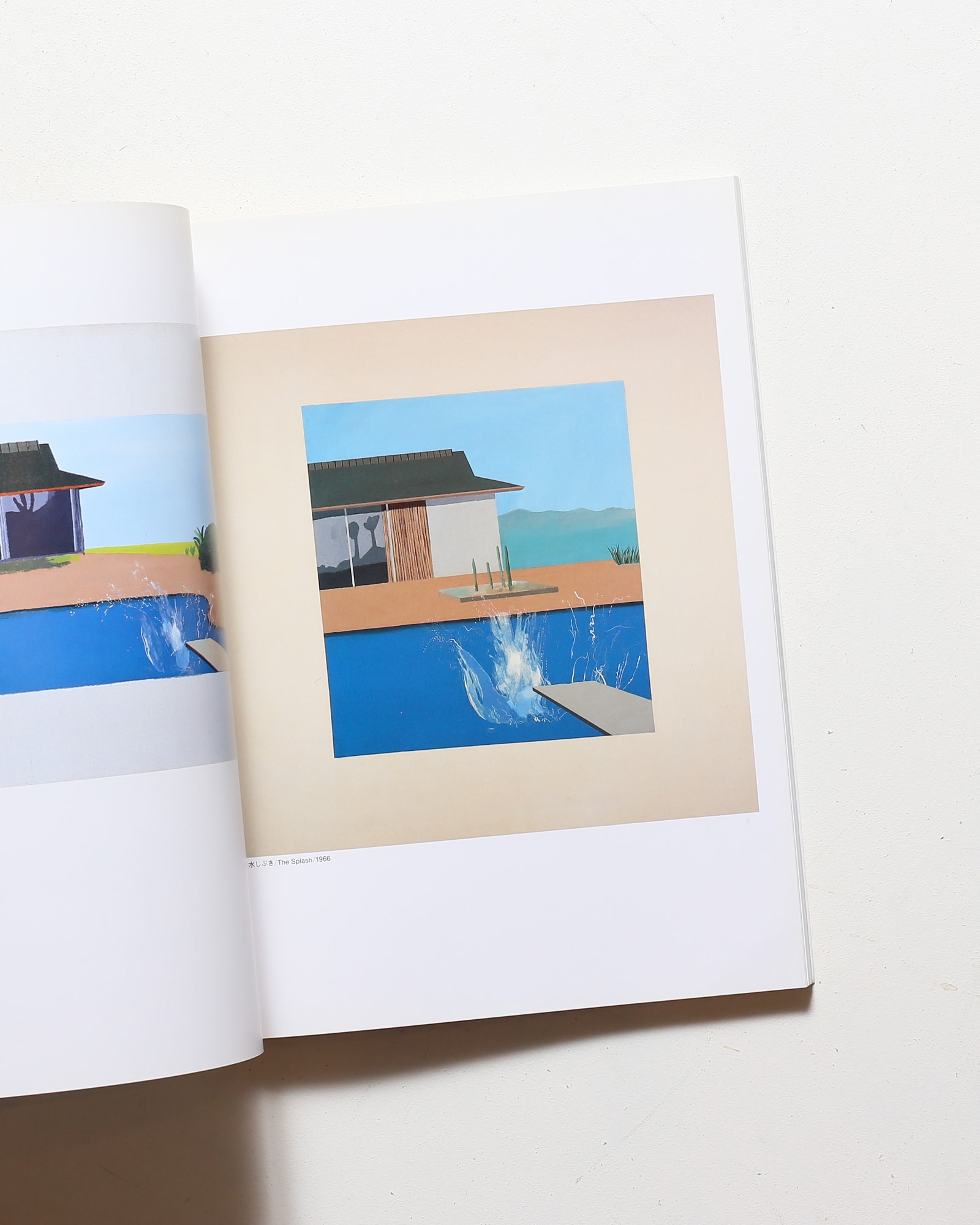 Hockney in California デイヴィッド・ホックニー展 | nostos books