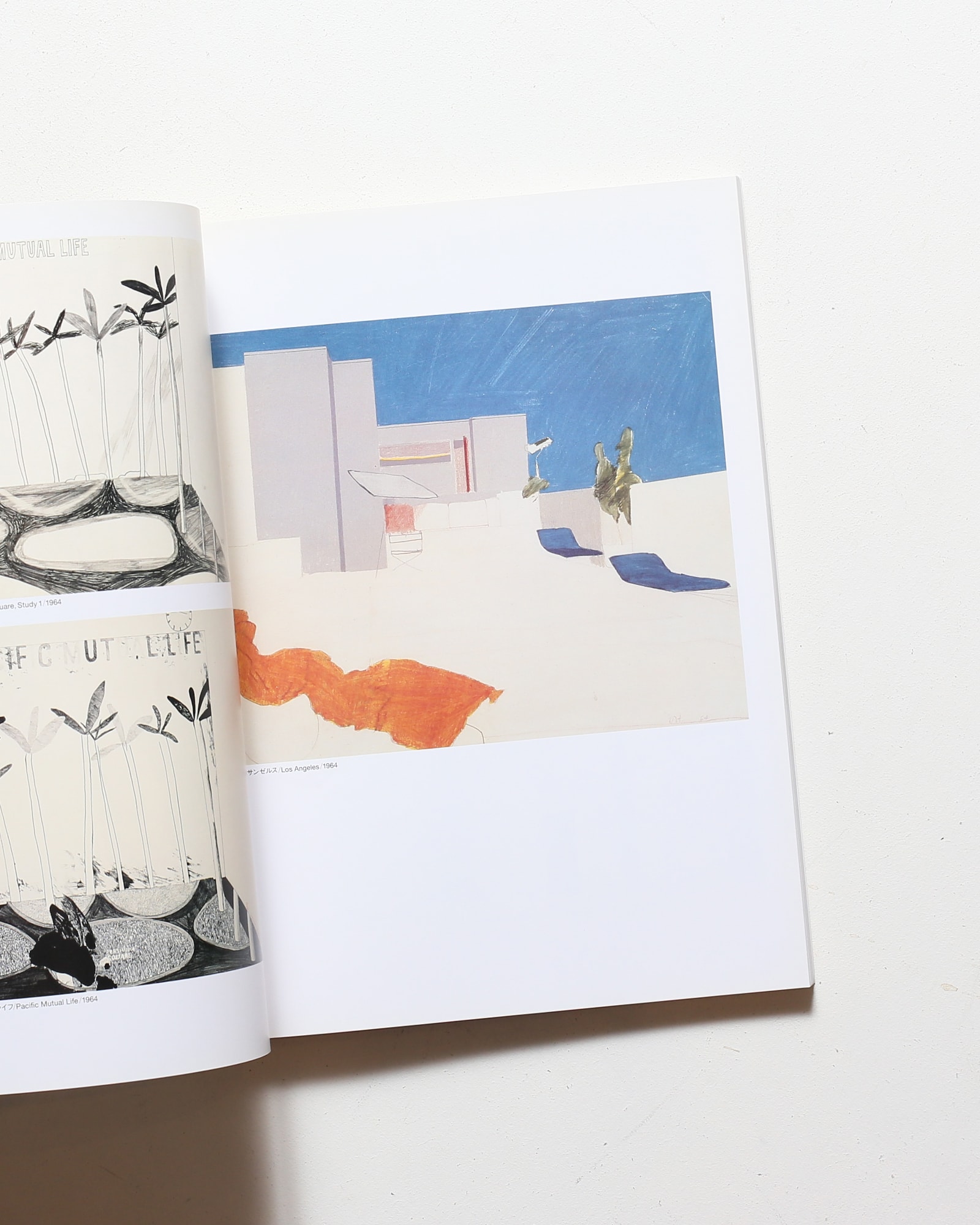 Hockney in California デイヴィッド・ホックニー展 | nostos books