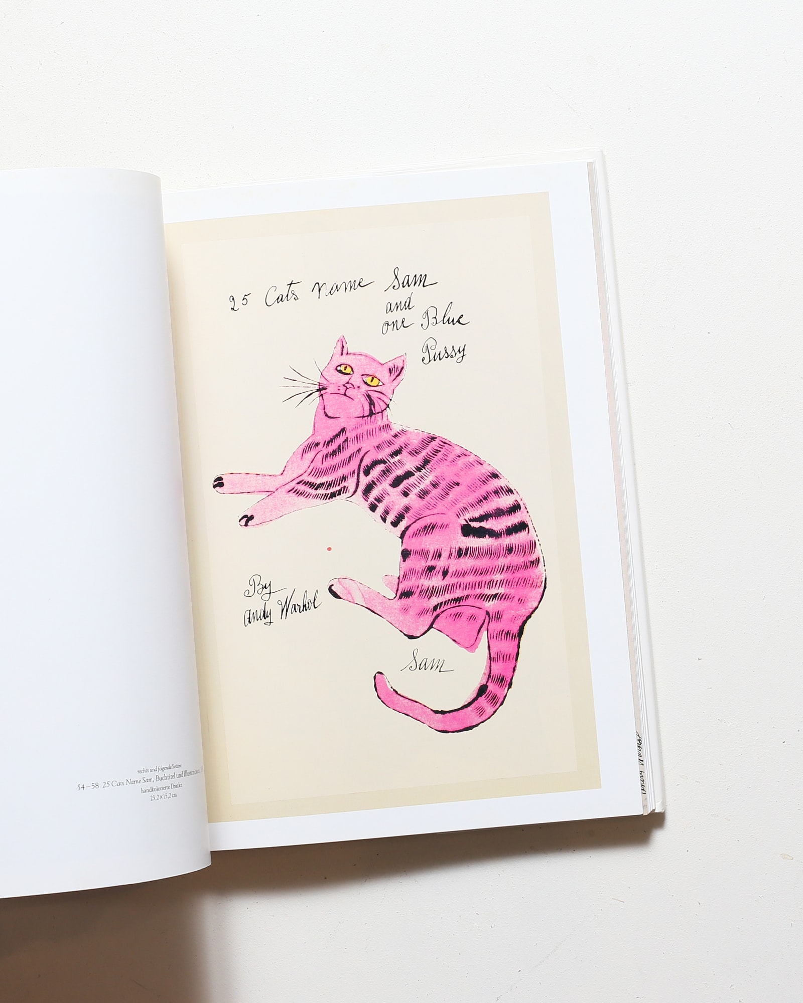 Pre-Pop Warhol | アンディ・ウォーホル | nostos books ノストスブックス