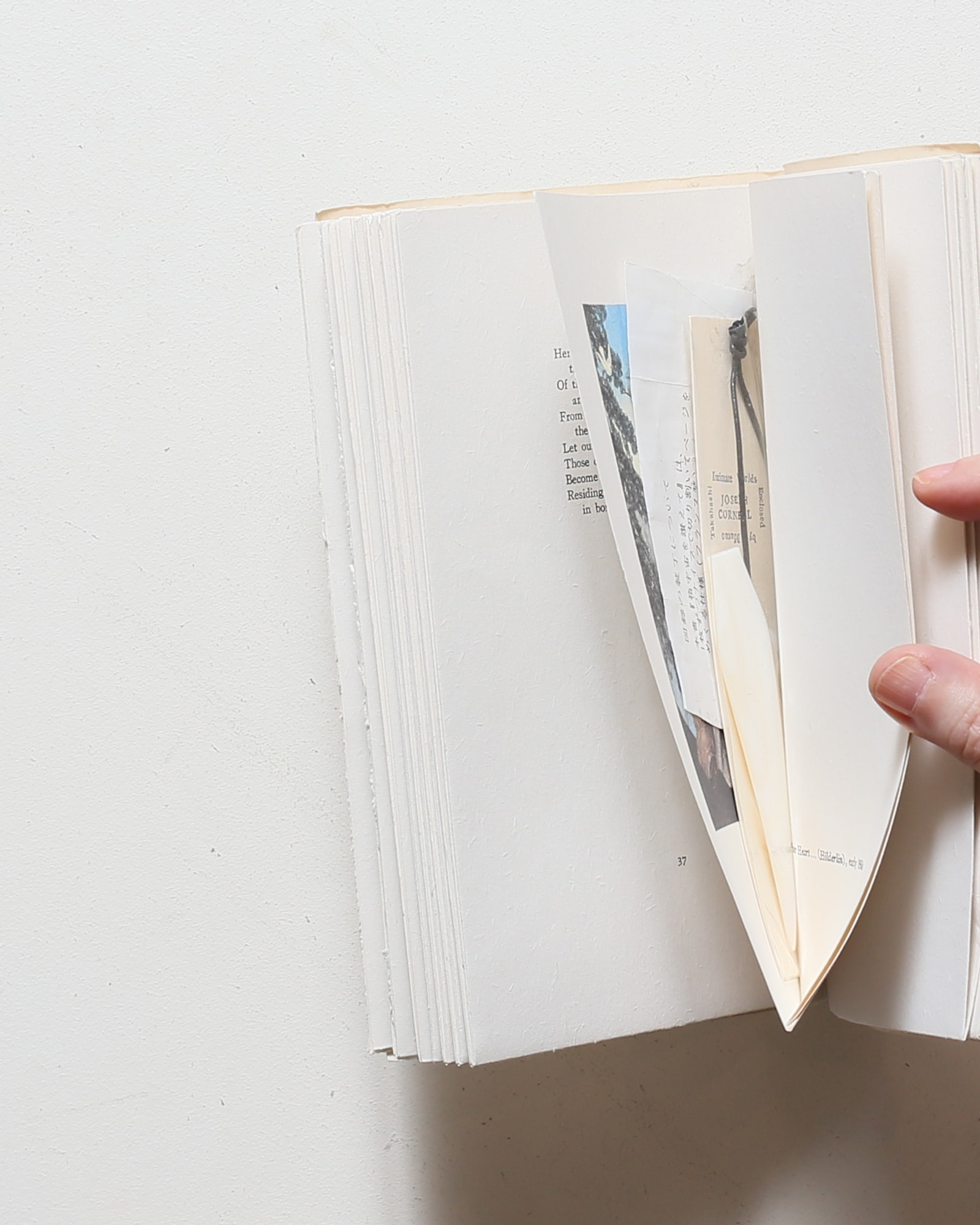 ジョセフ・コーネル 箱宇宙を讃えて | DIC川村記念美術館 | nostos