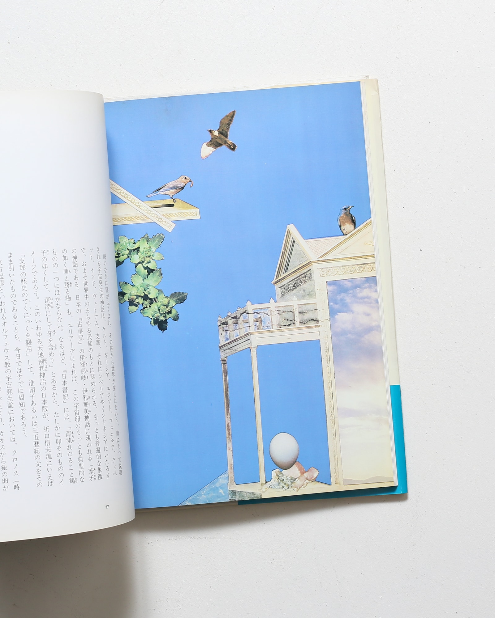 妖精たちの森 | 野中ユリ、澁澤龍彦 | nostos books ノストスブックス