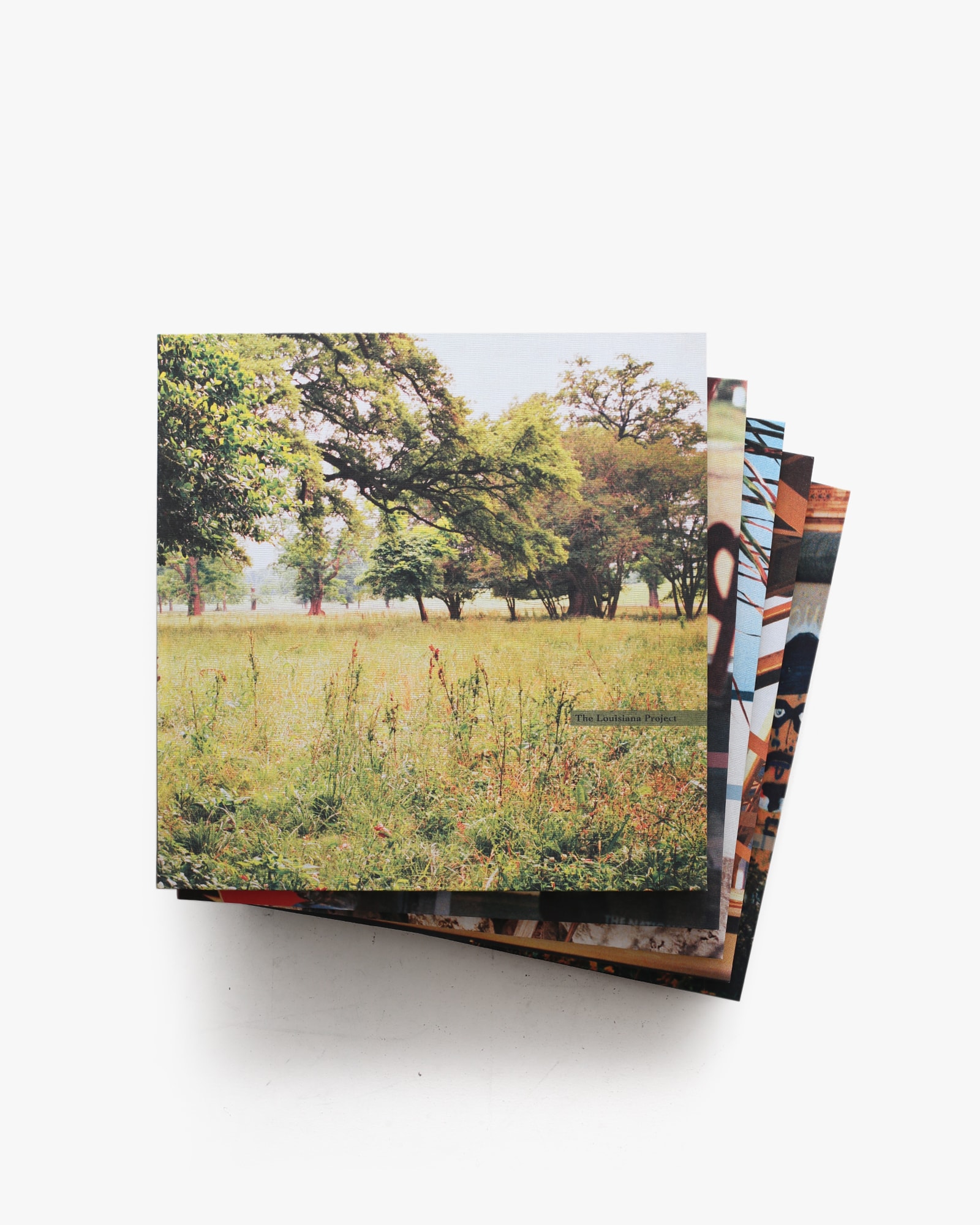 The Democratic Forest | William Eggleston ウィリアム・エグルストン