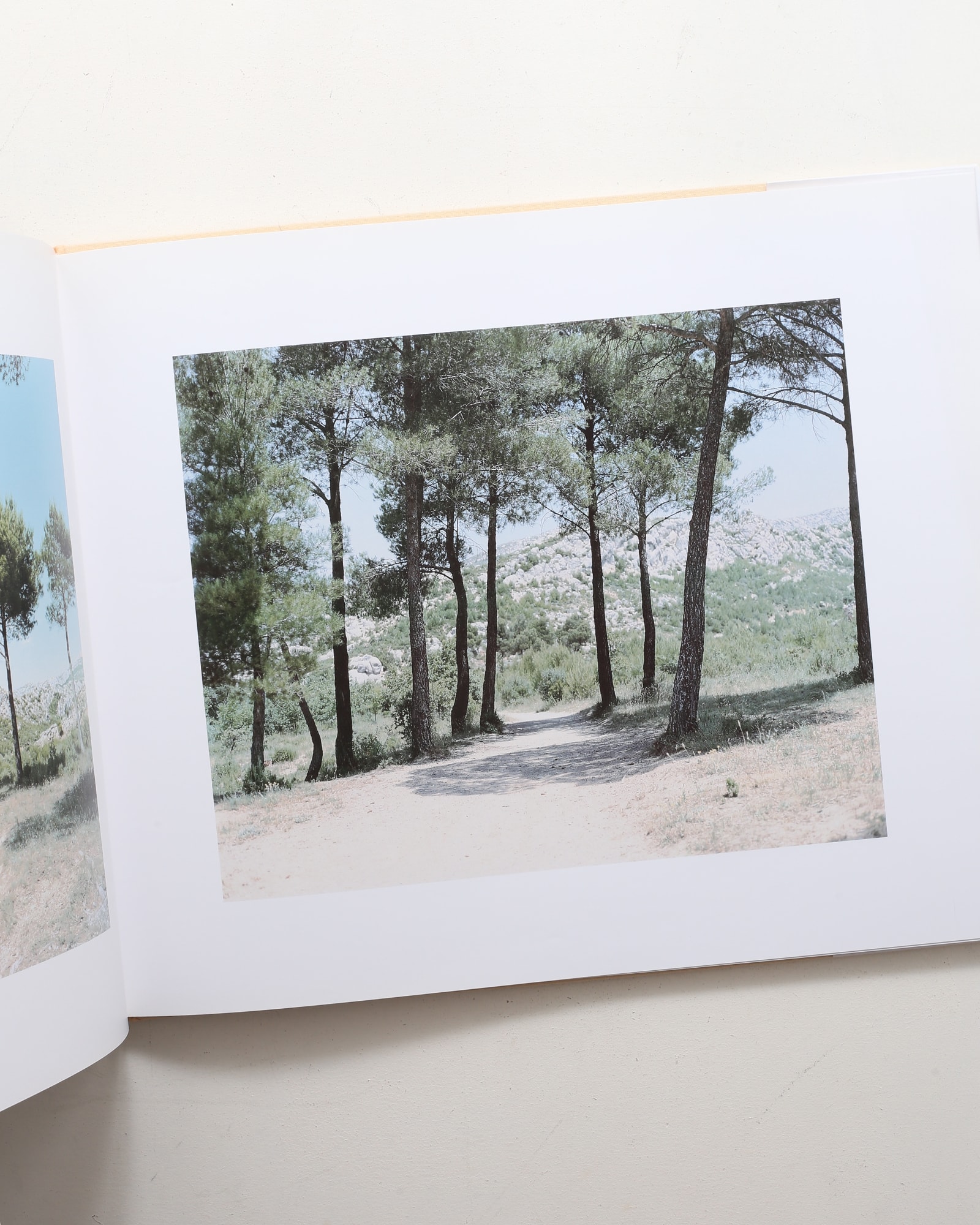 Mont Sainte Victoire | 鈴木理策 | nostos books ノストスブックス