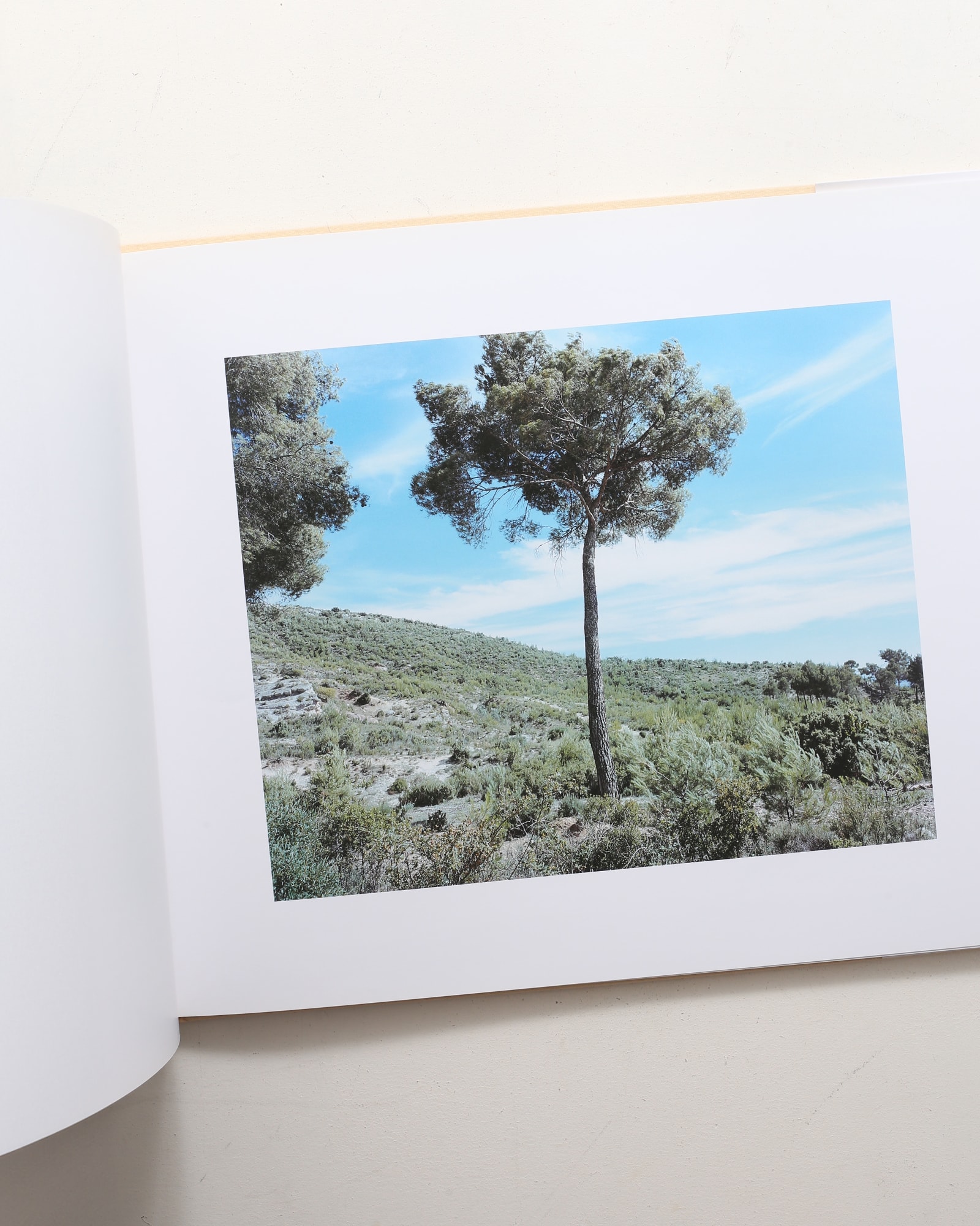 Mont Sainte Victoire | 鈴木理策 | nostos books ノストスブックス