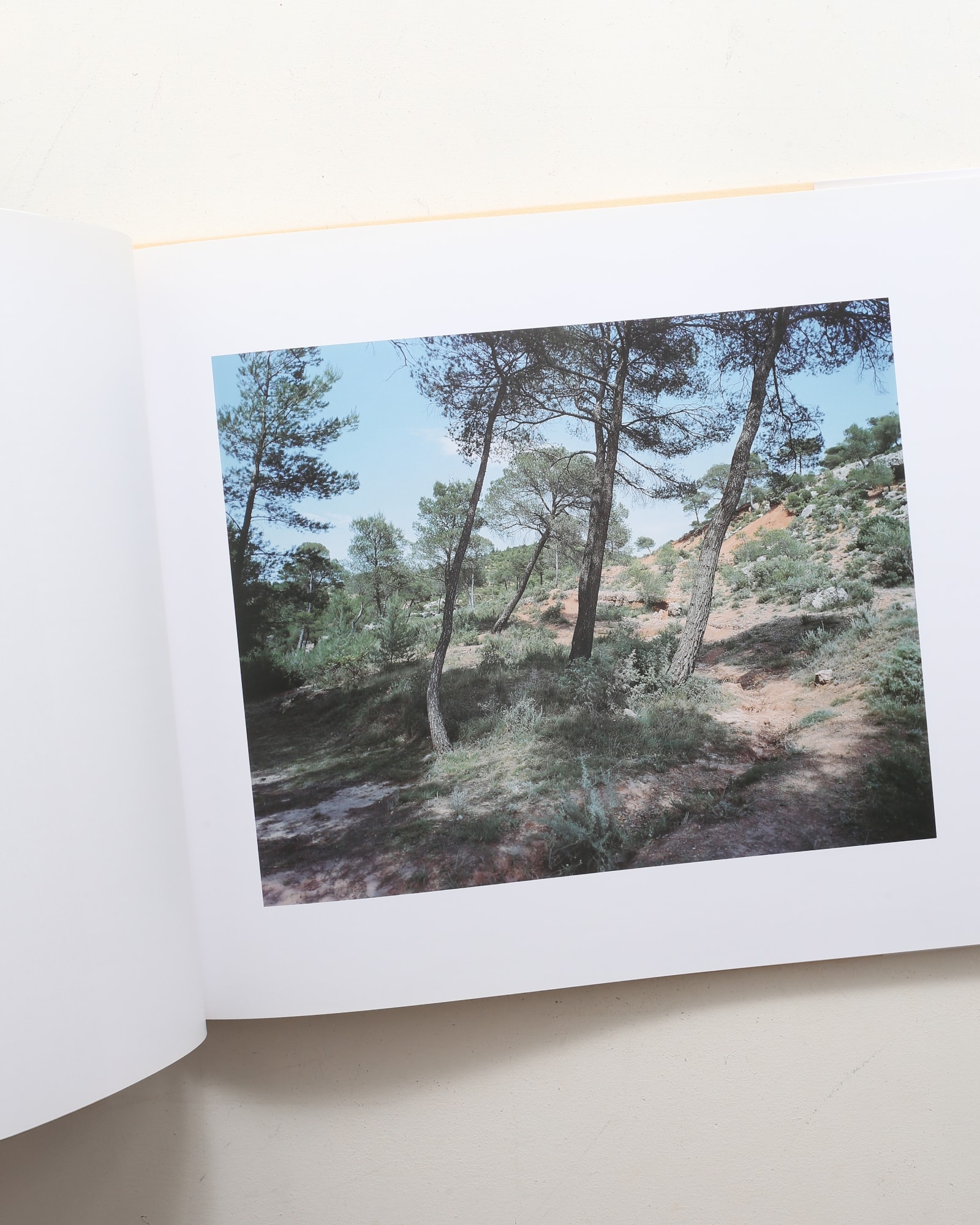 Mont Sainte Victoire | 鈴木理策 | nostos books ノストスブックス