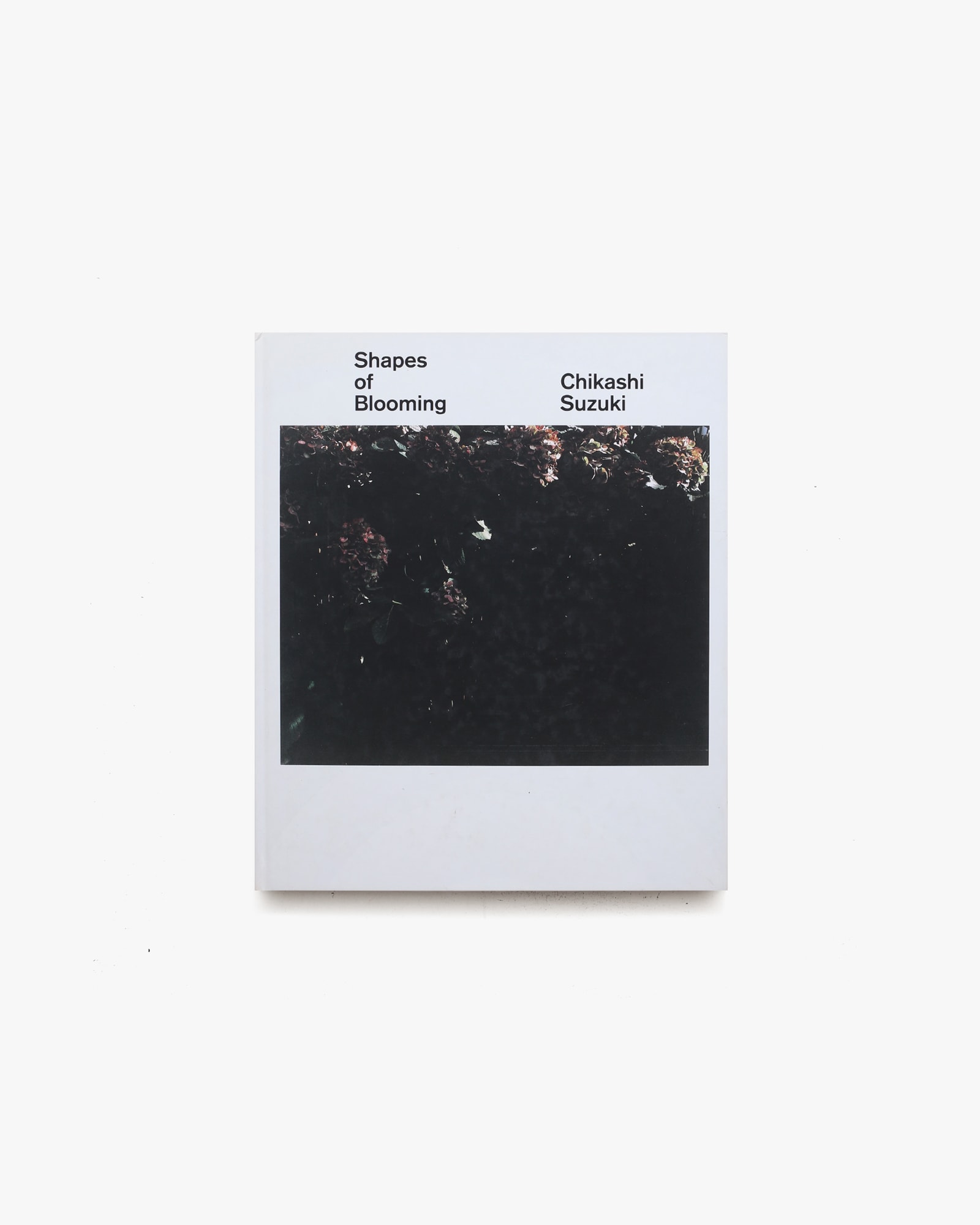Shapes of Blooming | 鈴木親 | nostos books ノストスブックス