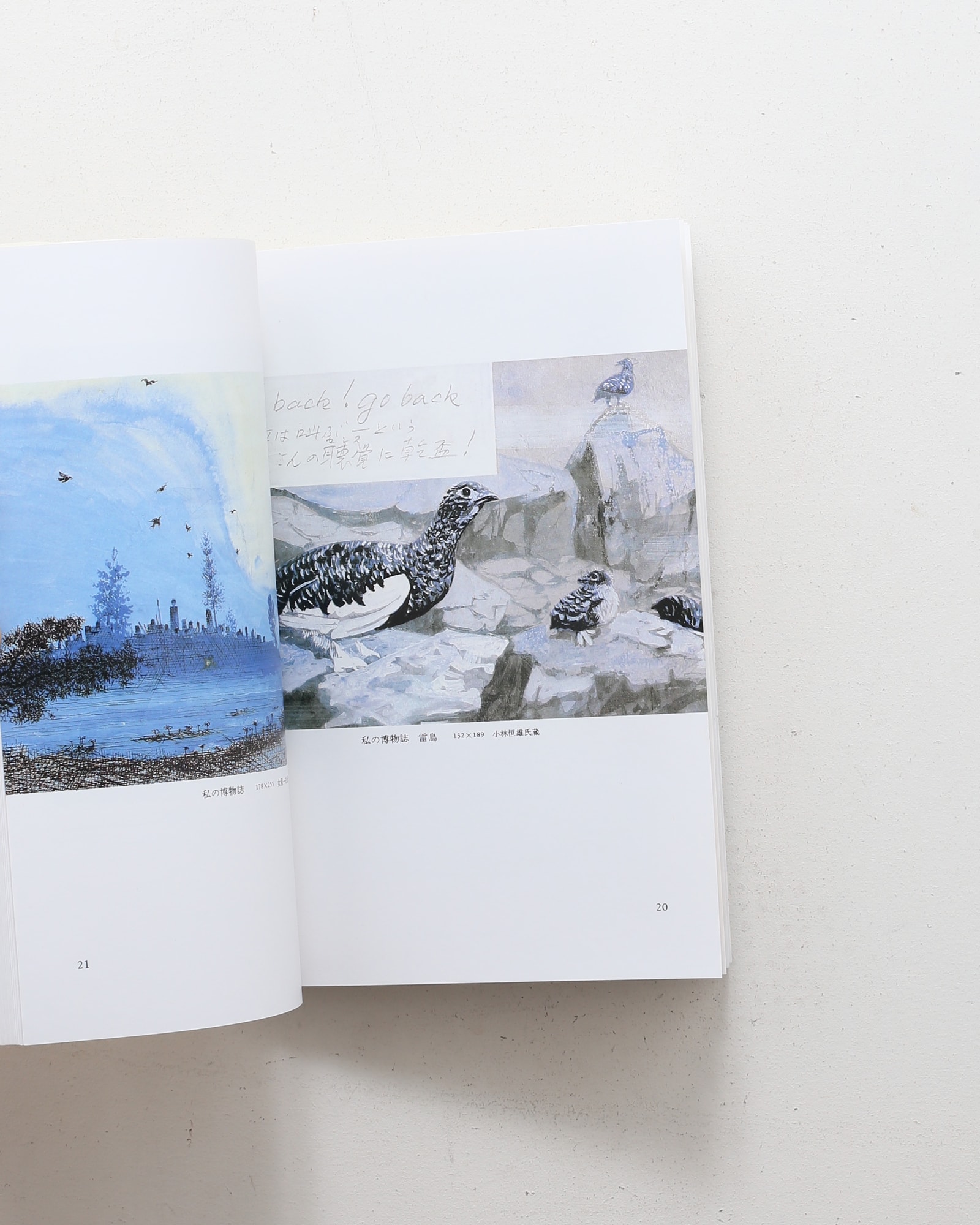 辻まこと全画集 | 串田孫一、宇佐見英治、矢内原伊作 ほか | nostos