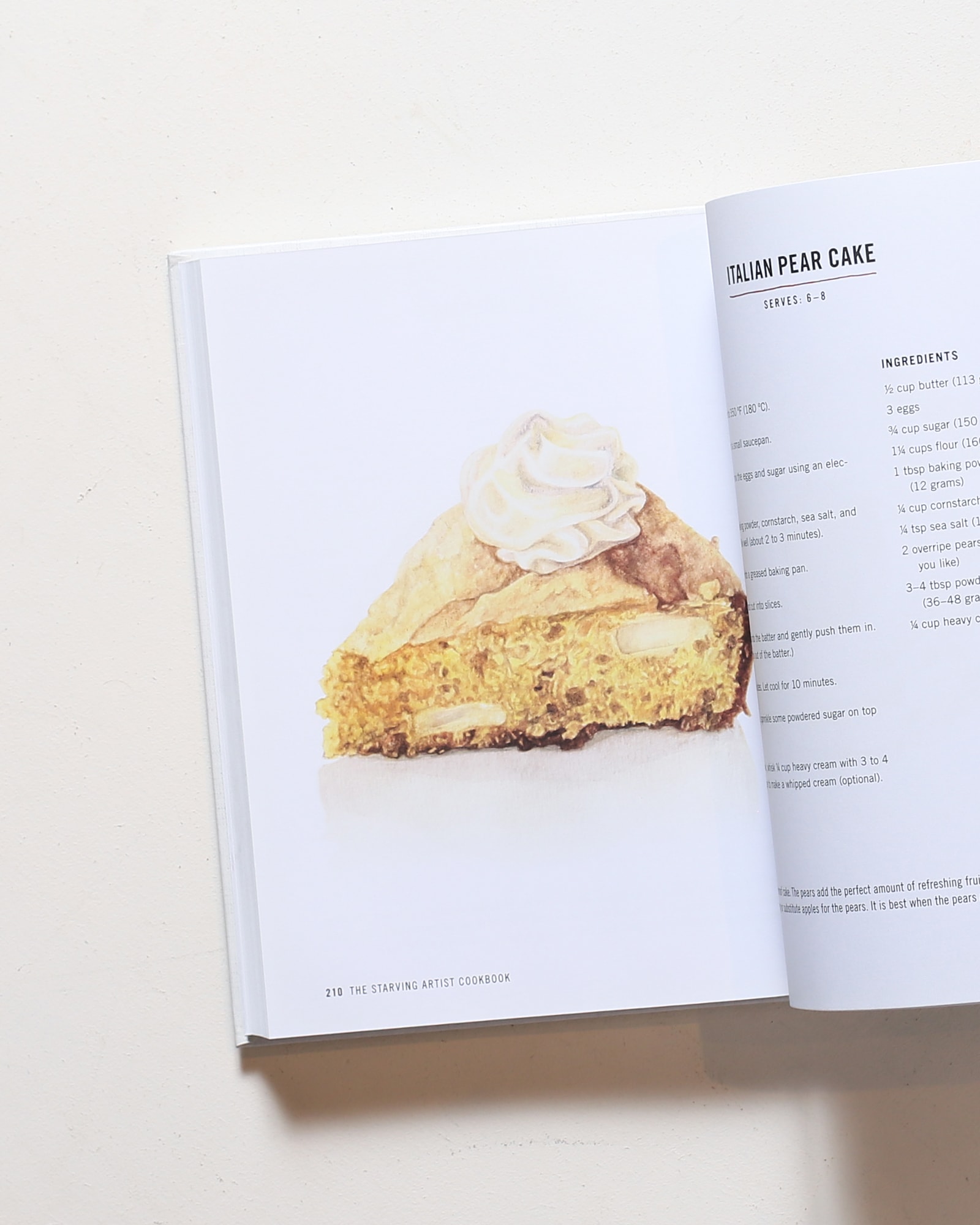 The Starving Artist Cookbook: Illustrated Recipes for First-Time