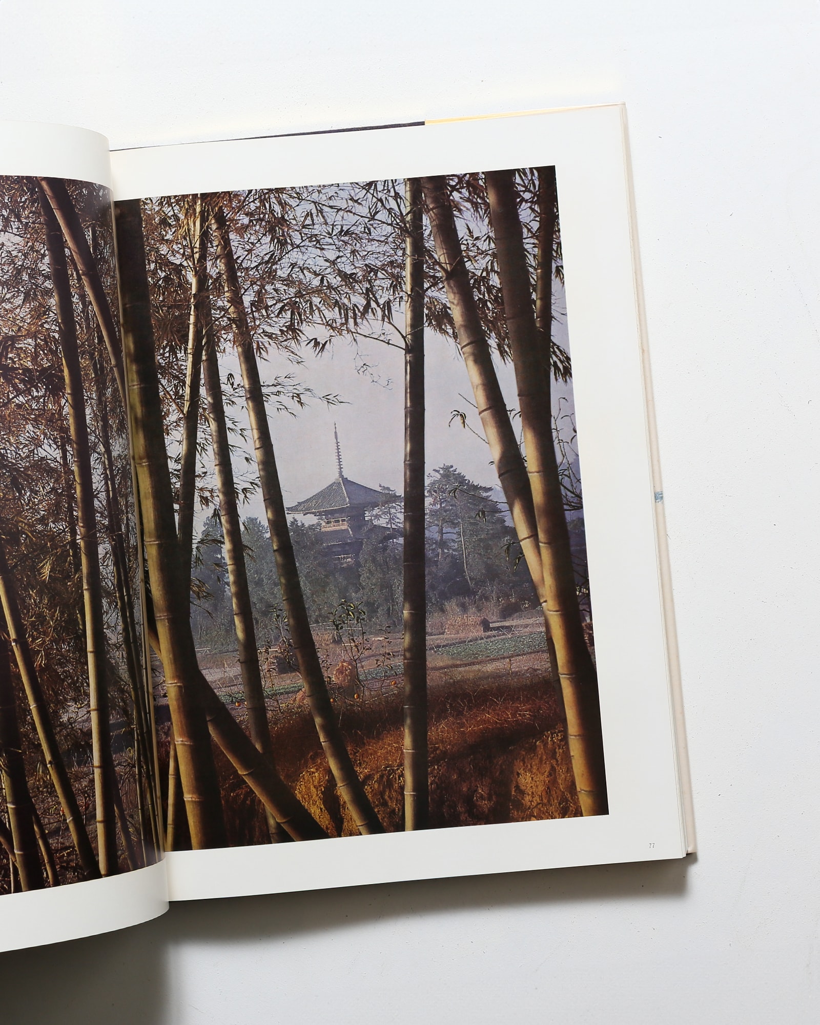 古寺巡礼 国際版 全5巻揃 | 土門拳 | nostos books ノストスブックス