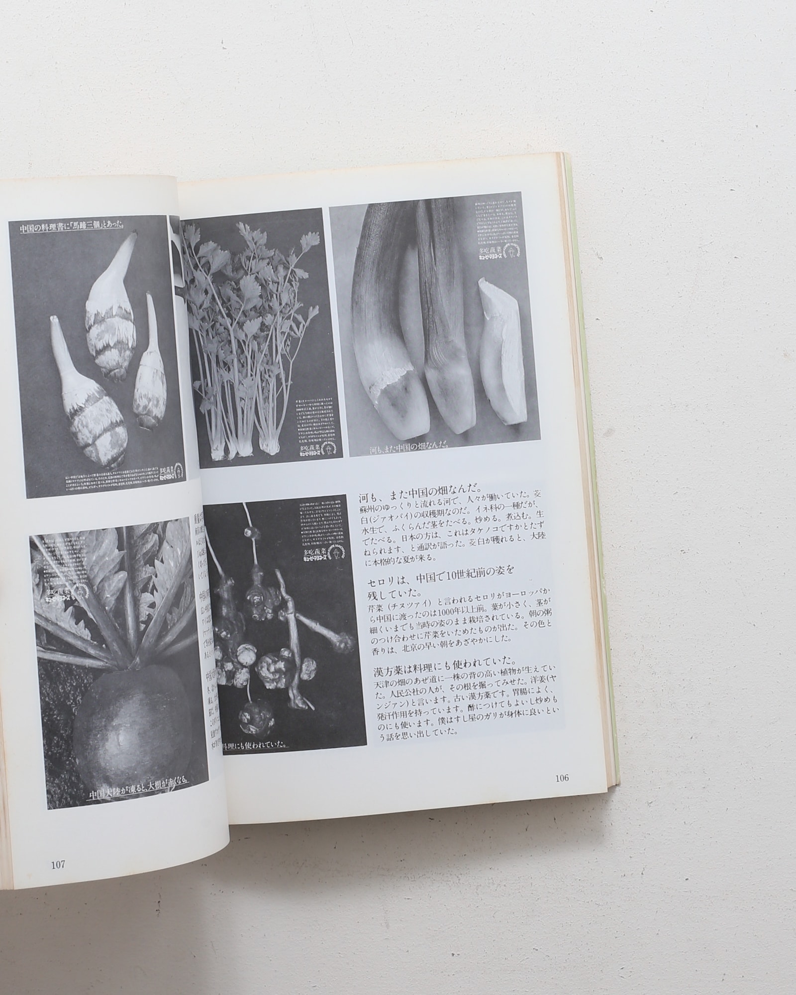 広告批評別冊 秋山晶全仕事 | マドラ出版 | nostos books ノストスブックス