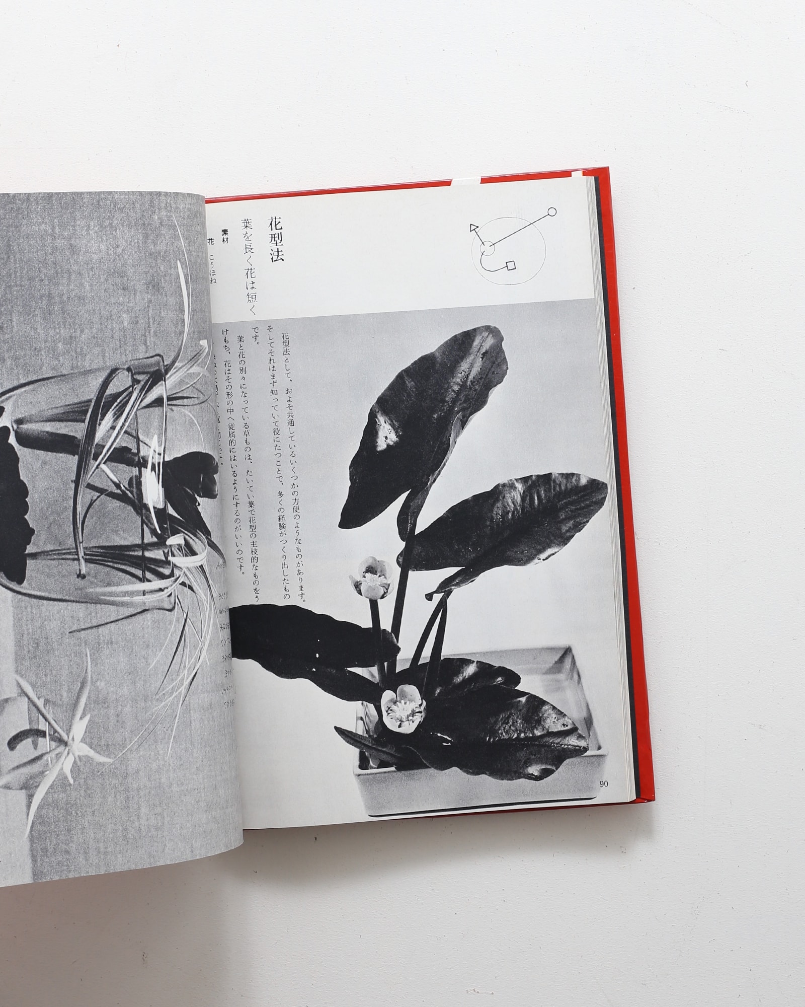 草月の花 | 勅使河原蒼風 | nostos books ノストスブックス