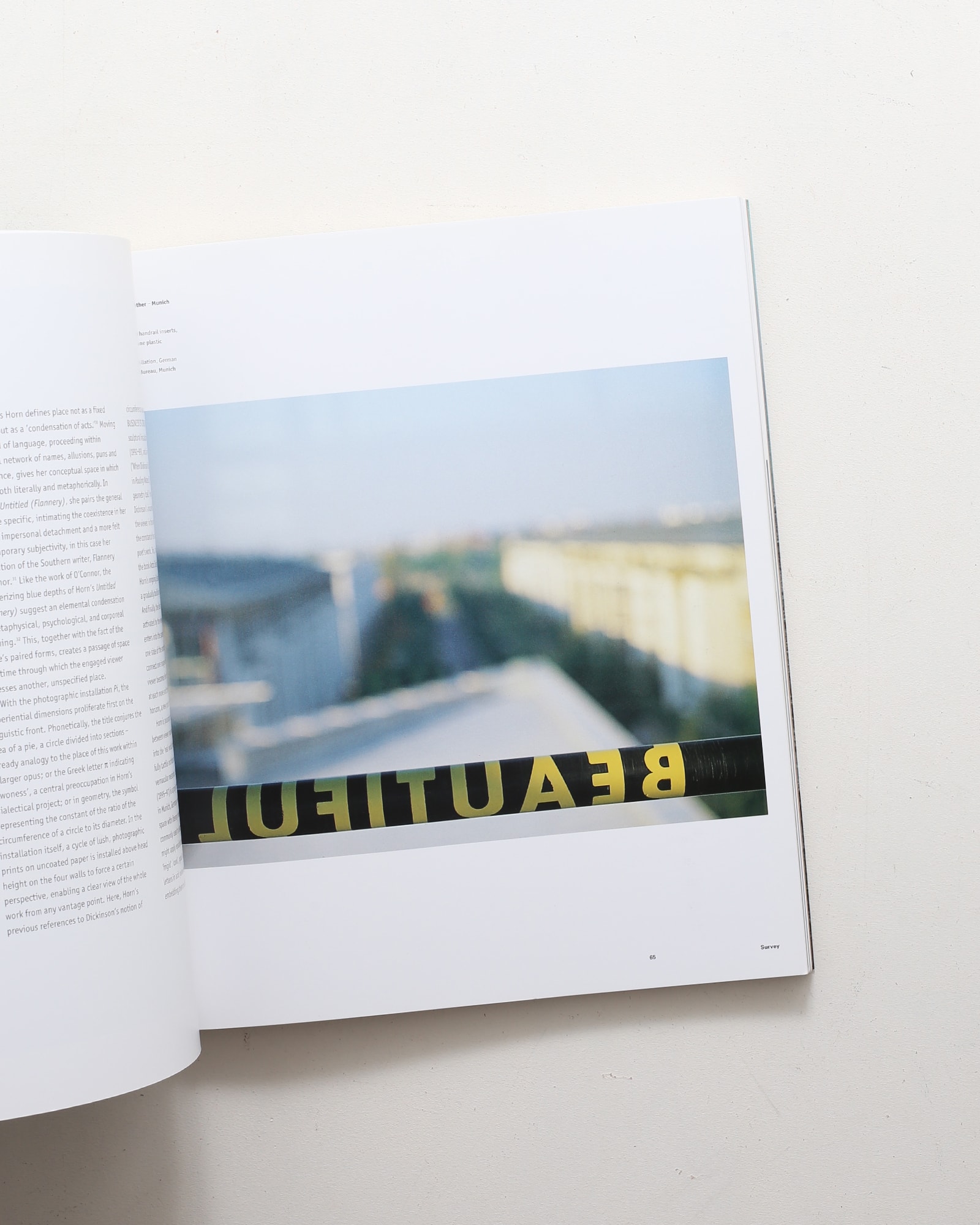 Roni Horn | ロニ・ホーン | nostos books ノストスブックス