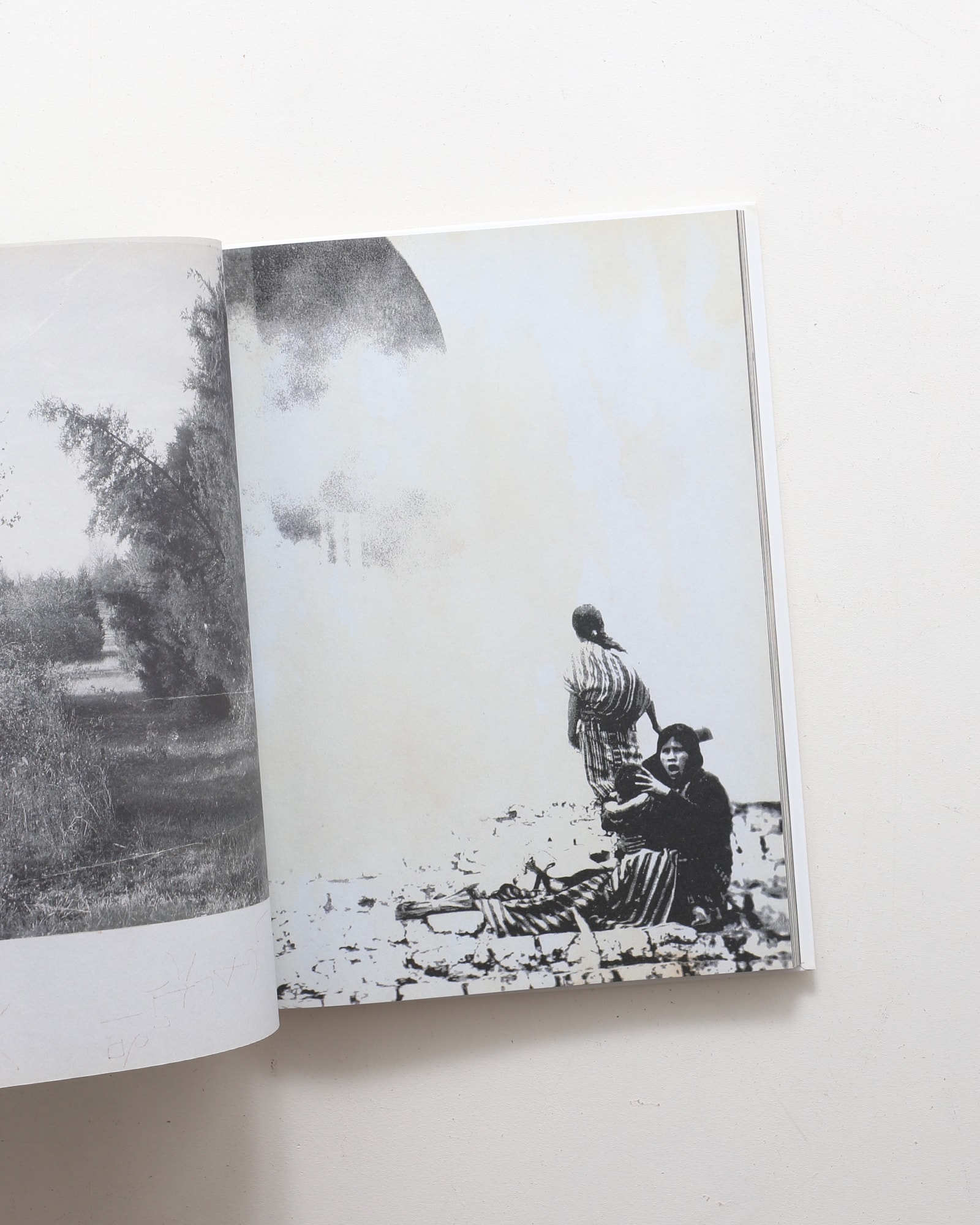 The Heart Land | マーク・ボスウィック | nostos books ノストスブックス