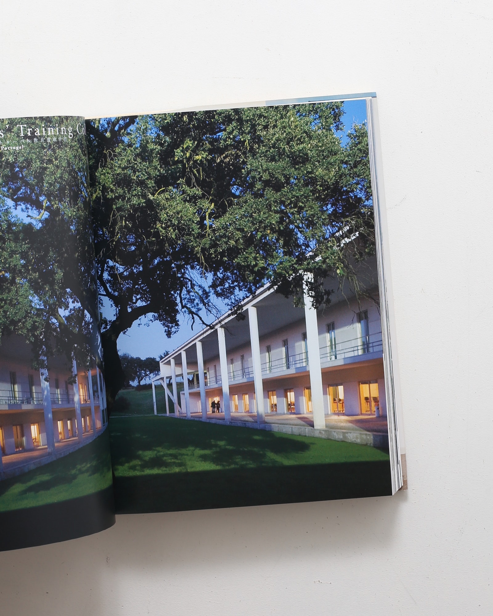 アルヴァロ・シザの建築 | nostos books ノストスブックス