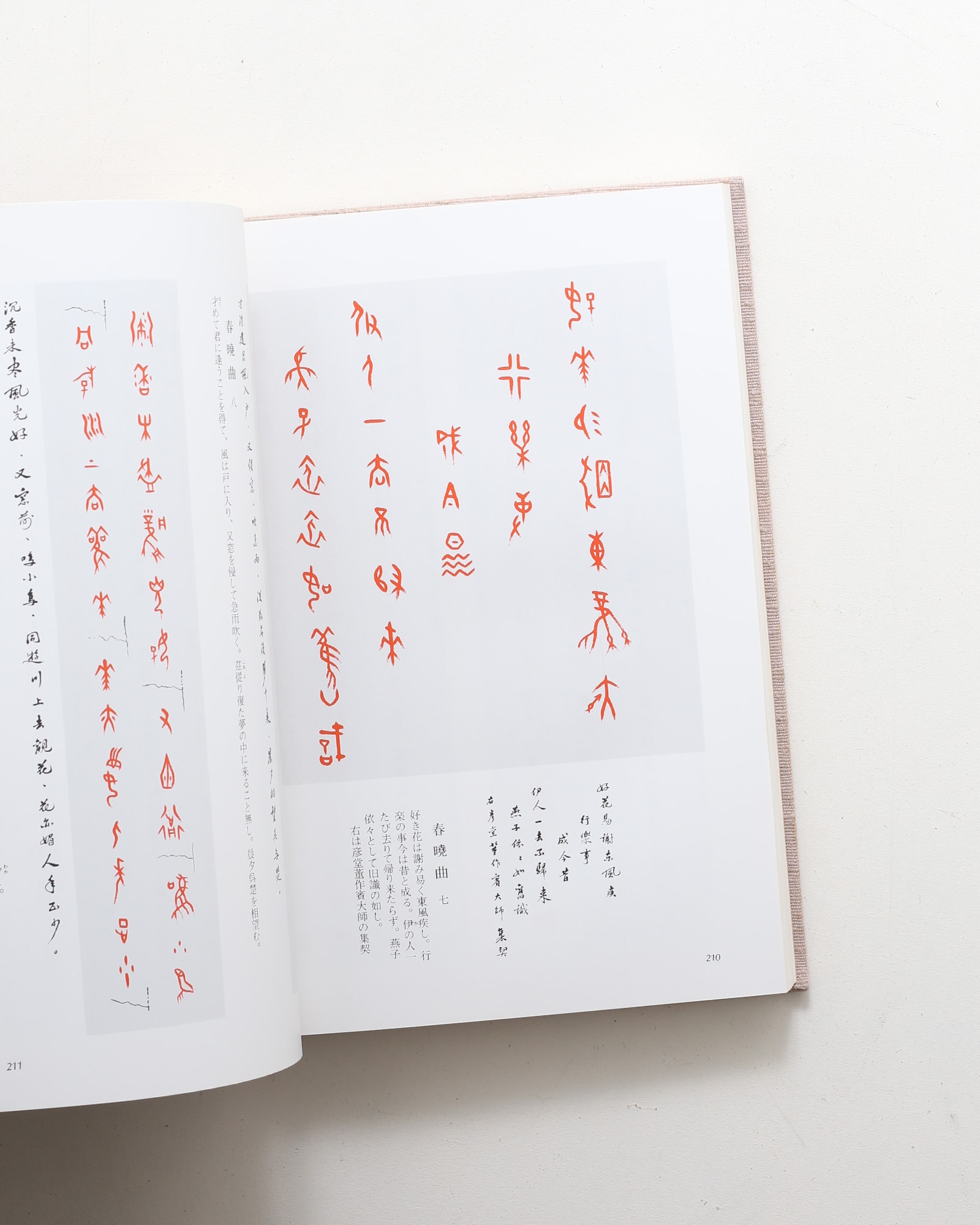 集契集 亀甲文字集 | 欧陽可亮 | nostos books ノストスブックス
