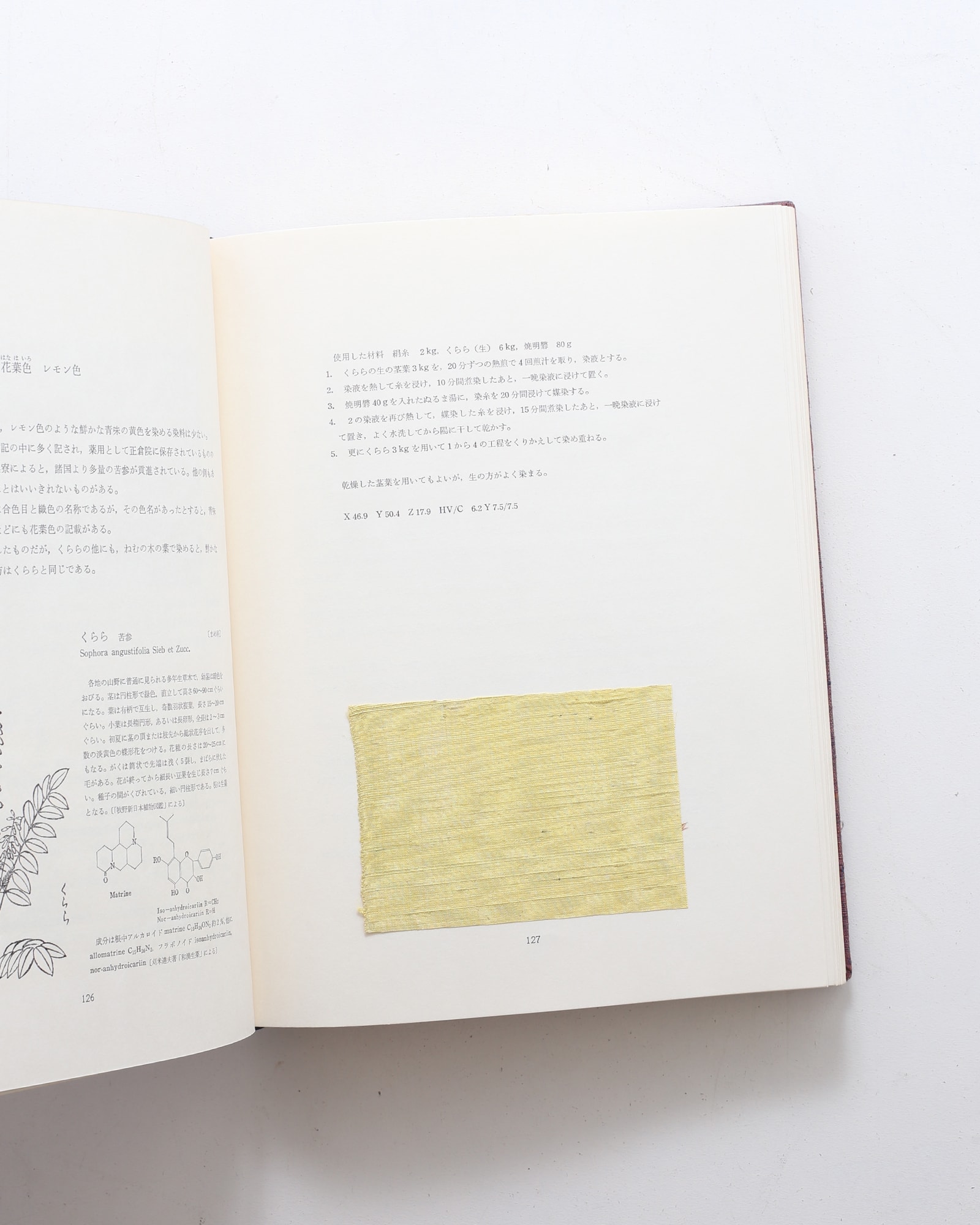 草木染 日本の色 | 山崎青樹 | nostos books ノストスブックス