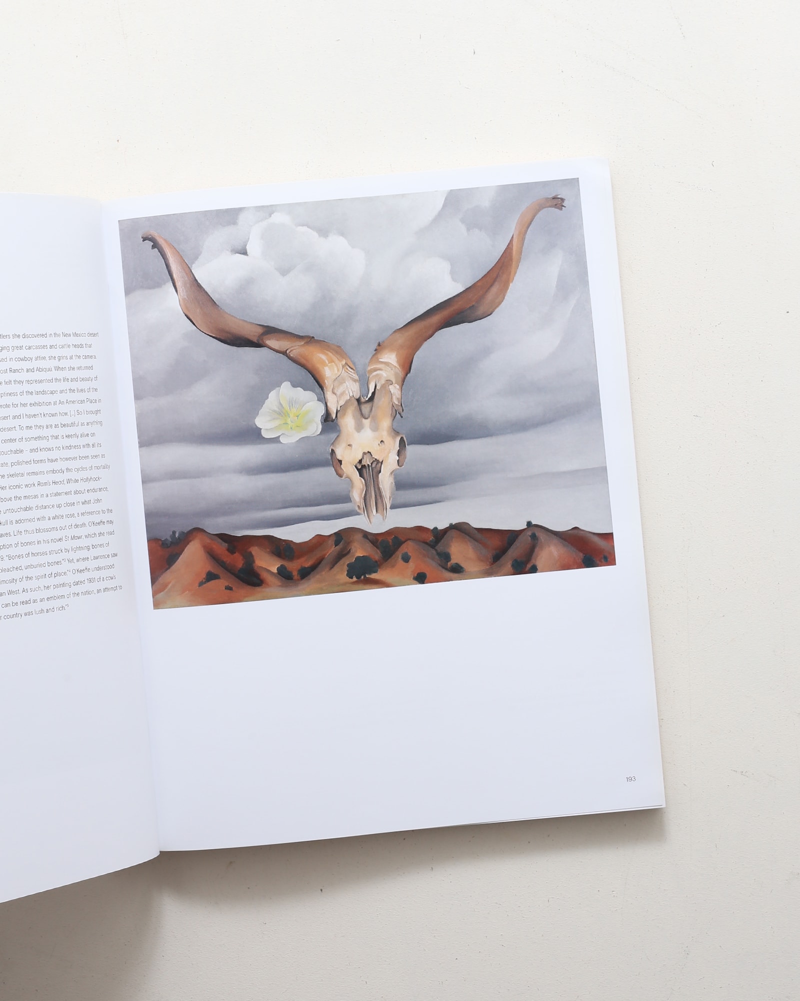 Georgia O'Keeffe | ジョージア・オキーフ | nostos books ノストス