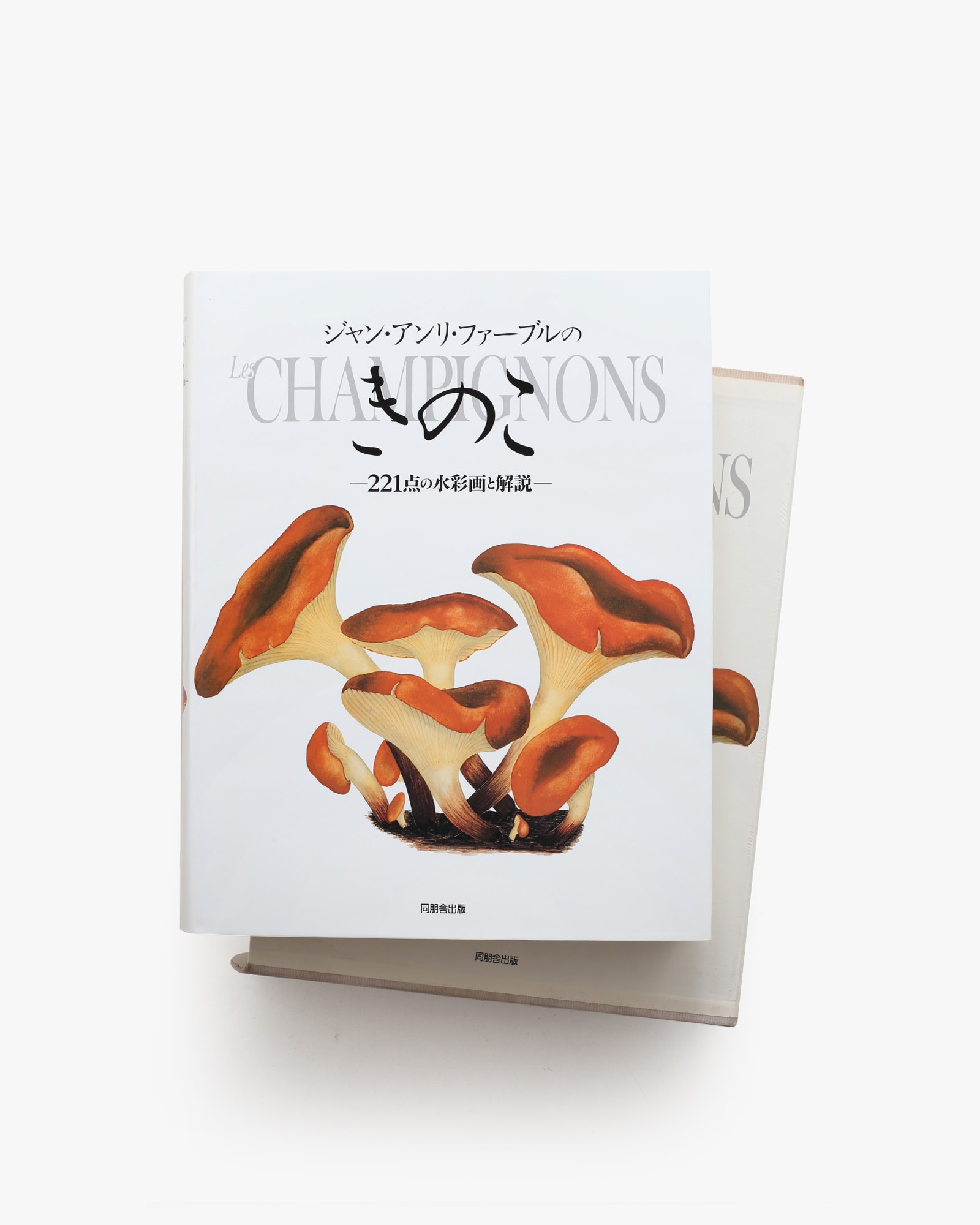 ジャン・アンリ・ファーブルのきのこ 221点の水彩画と解説 | nostos