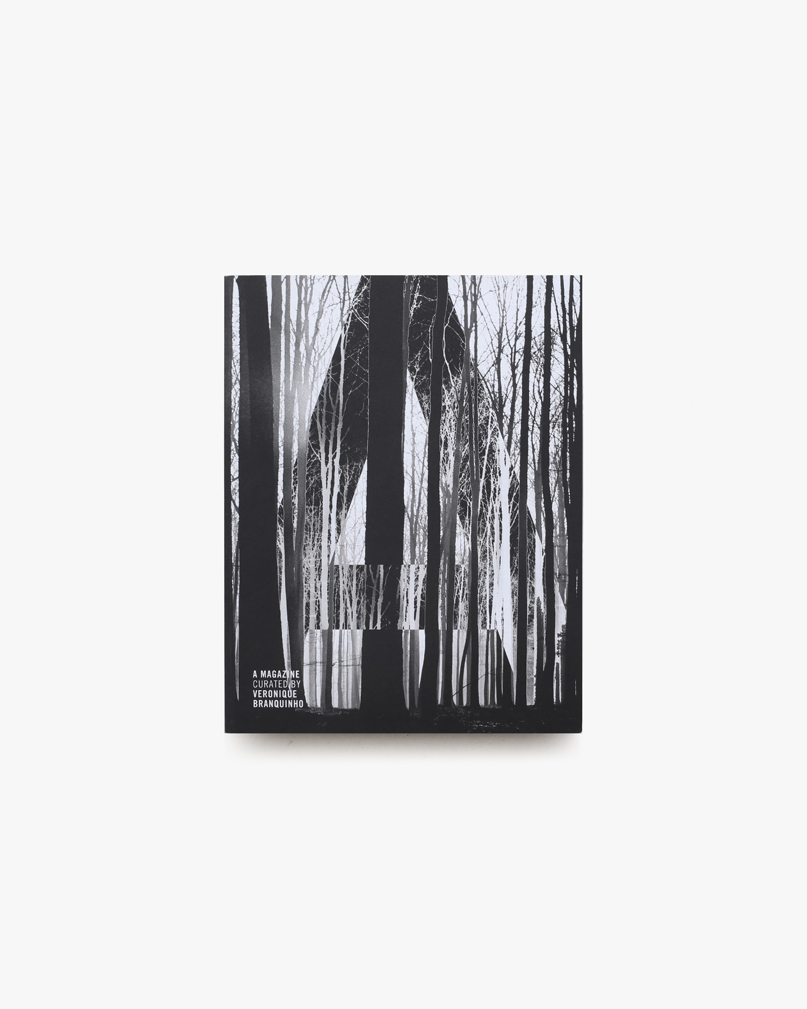 A Magazine ＃6 Curated by Veronique Branquinhoo | nostos books