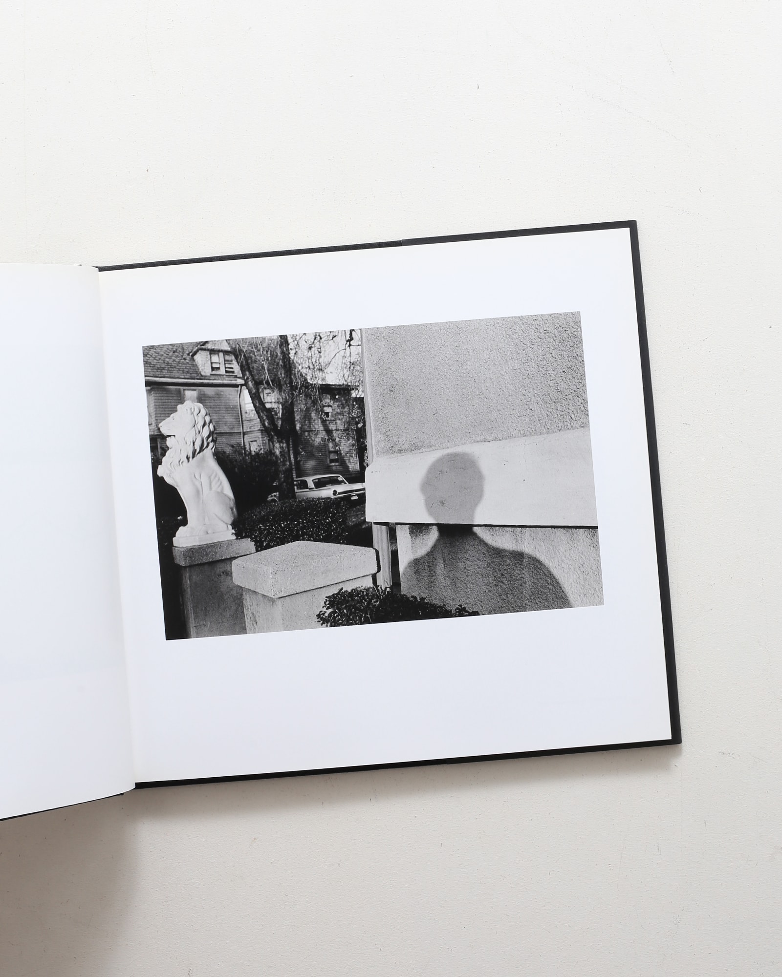 Self Portrait | Lee Friedlander | nostos books ノストスブックス
