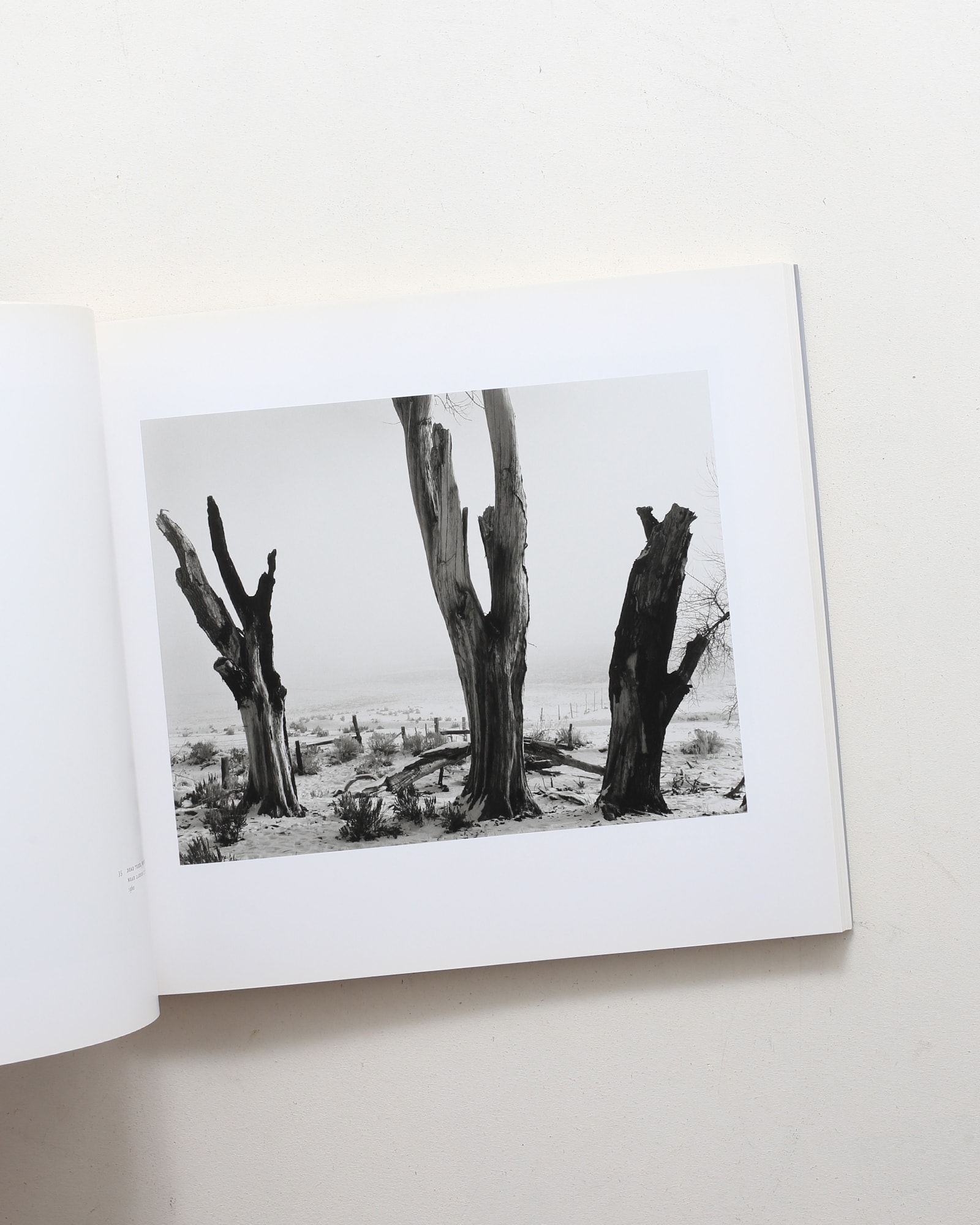 Ansel Adams at 100 | アンセル・アダムス | nostos books ノストス