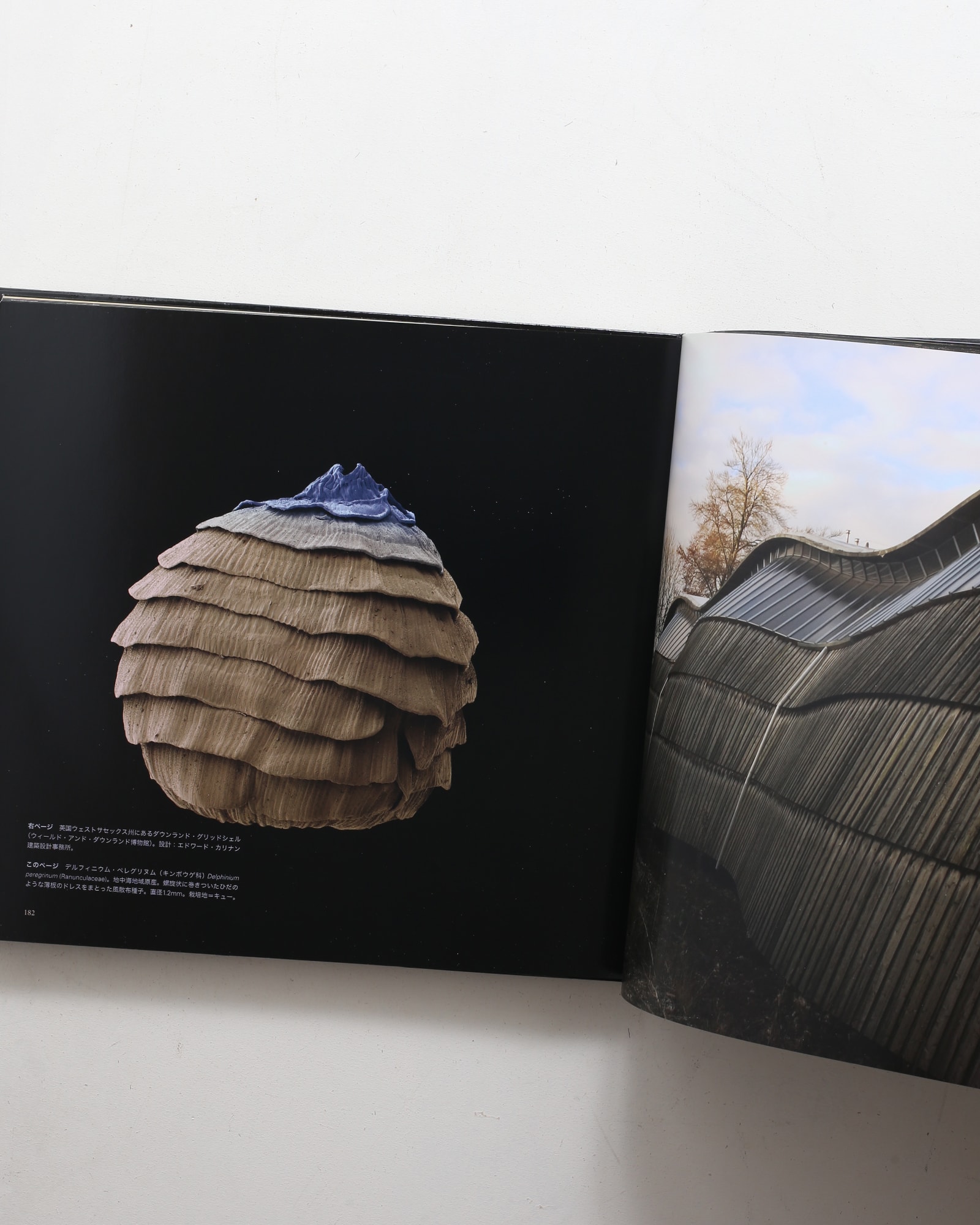 世界で一番美しい種子図鑑 | nostos books ノストスブックス