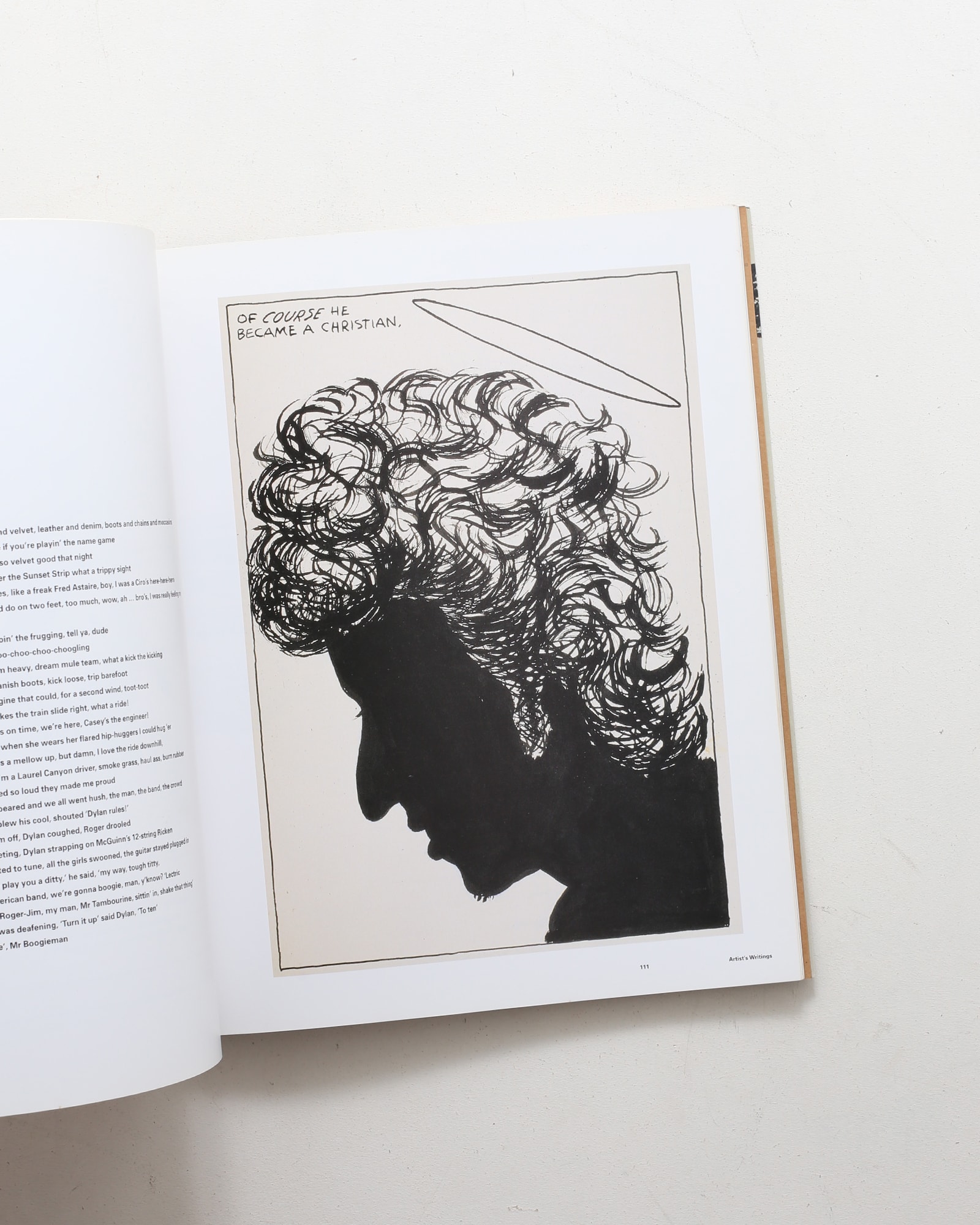 Raymond Pettibon | Phaidon Contemporary Artists Series | nostos