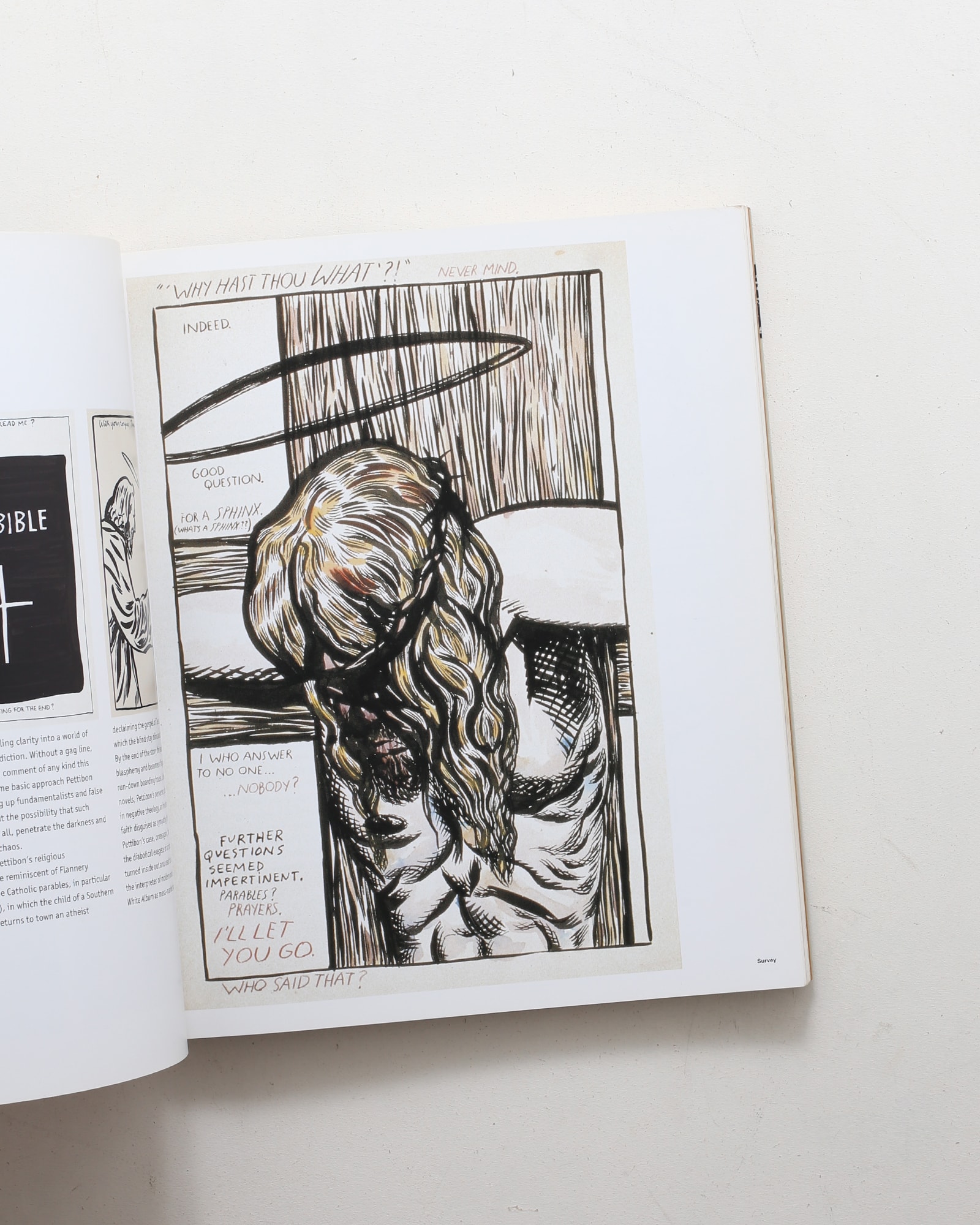 Raymond Pettibon | Phaidon Contemporary Artists Series | nostos