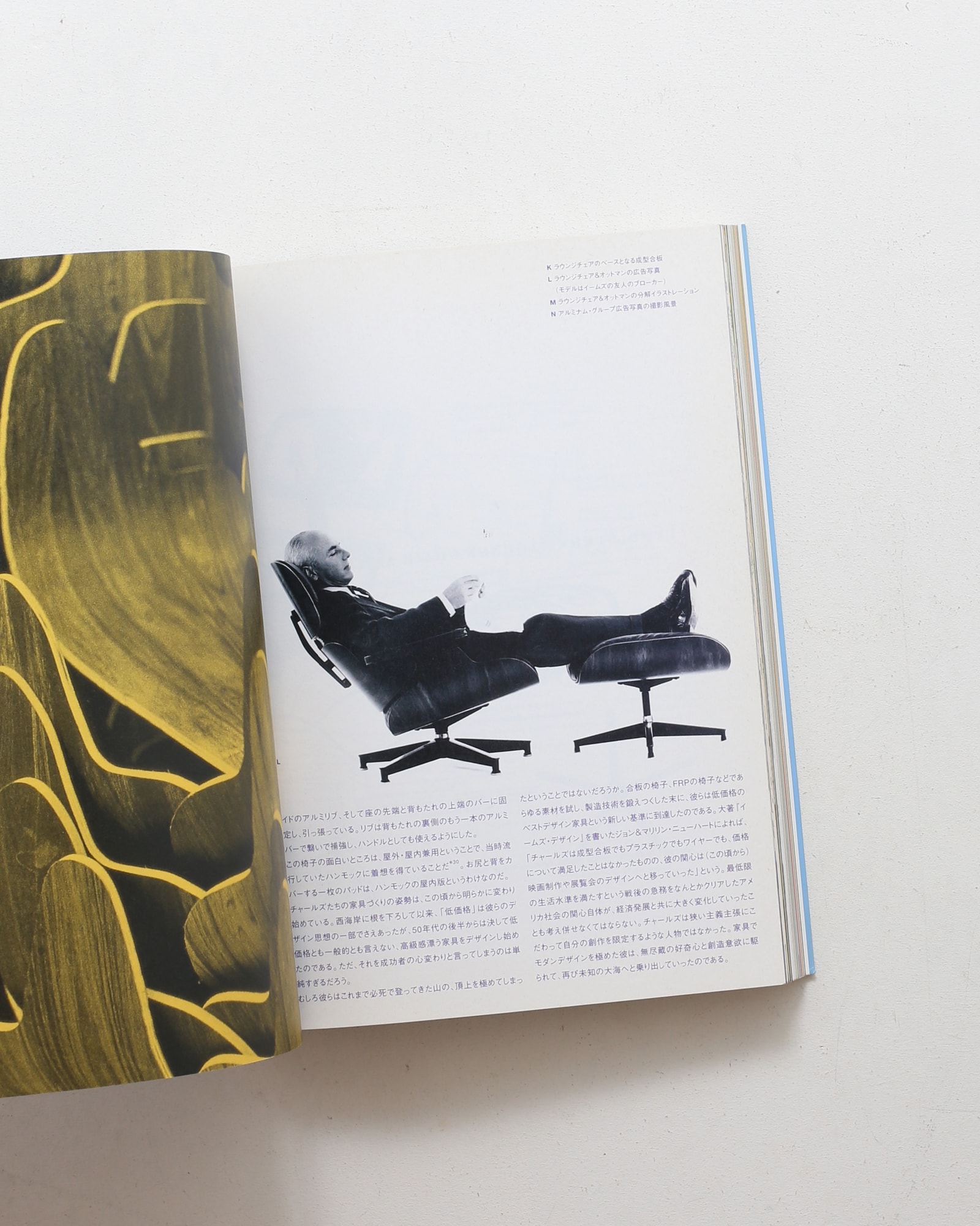 Eames Design イームズ・デザイン展（表紙水色） | nostos books