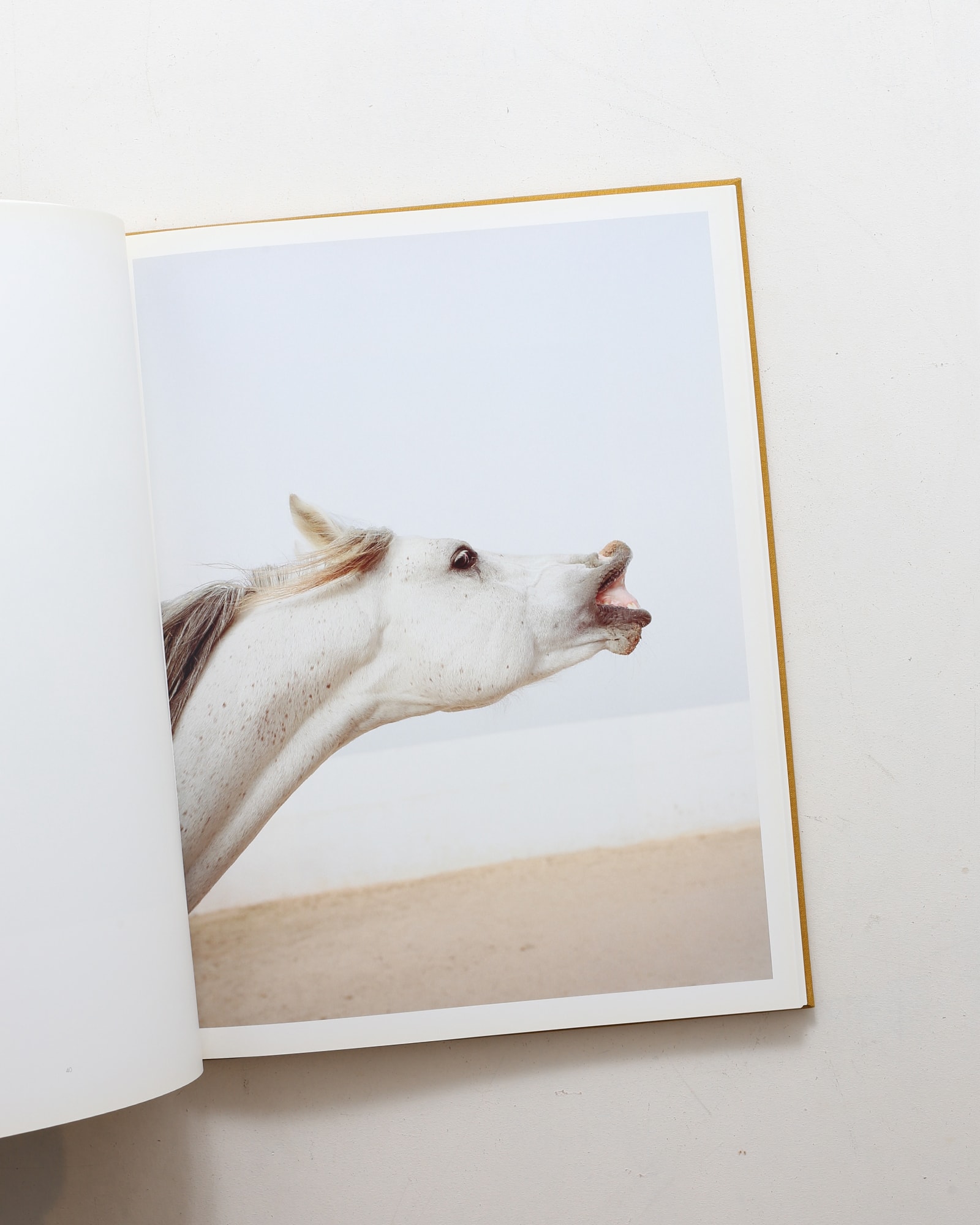 Horse | Jitka Hanzlova | nostos books ノストスブックス