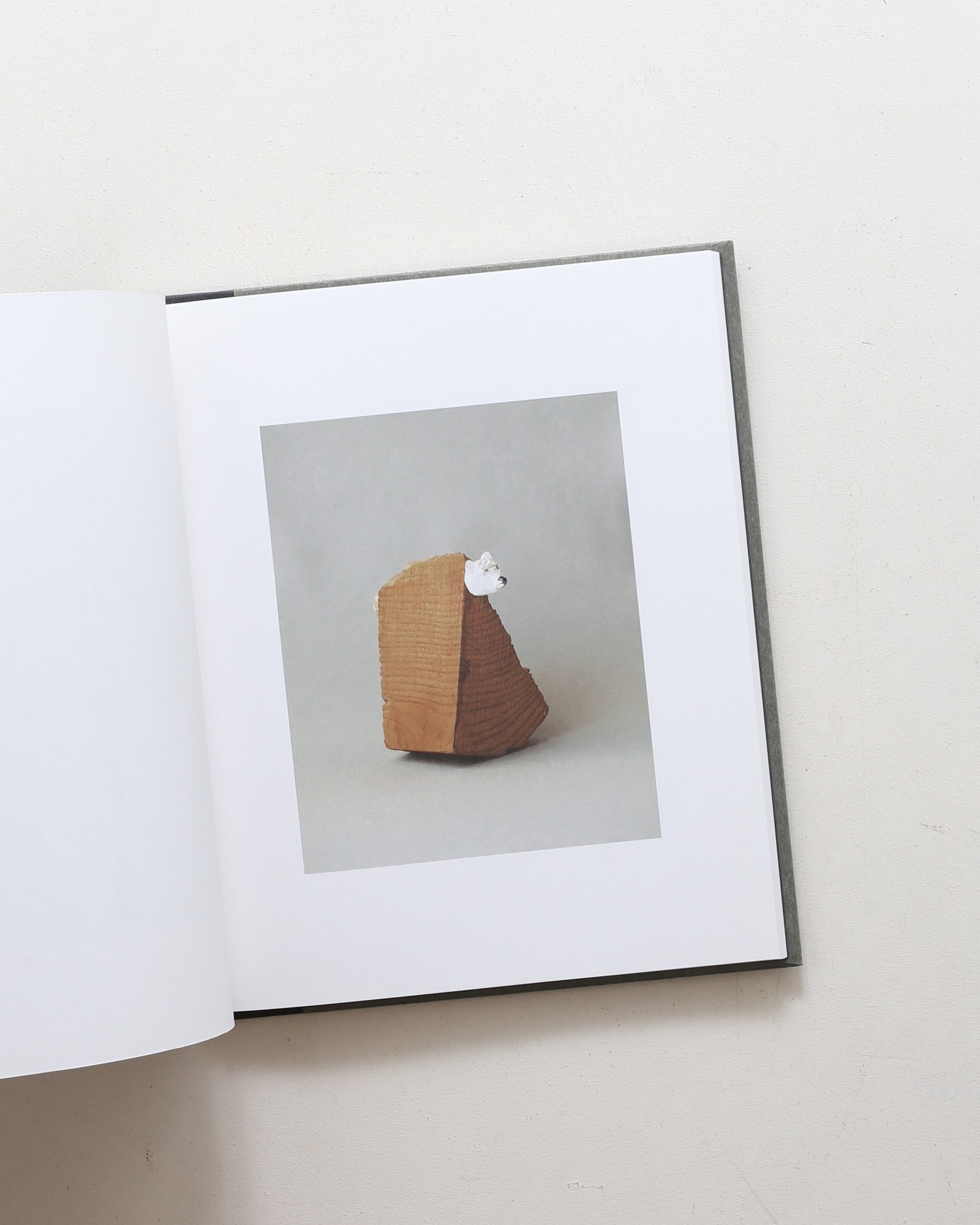 西淑 作品集 | ERVIS PRESS | nostos books ノストスブックス