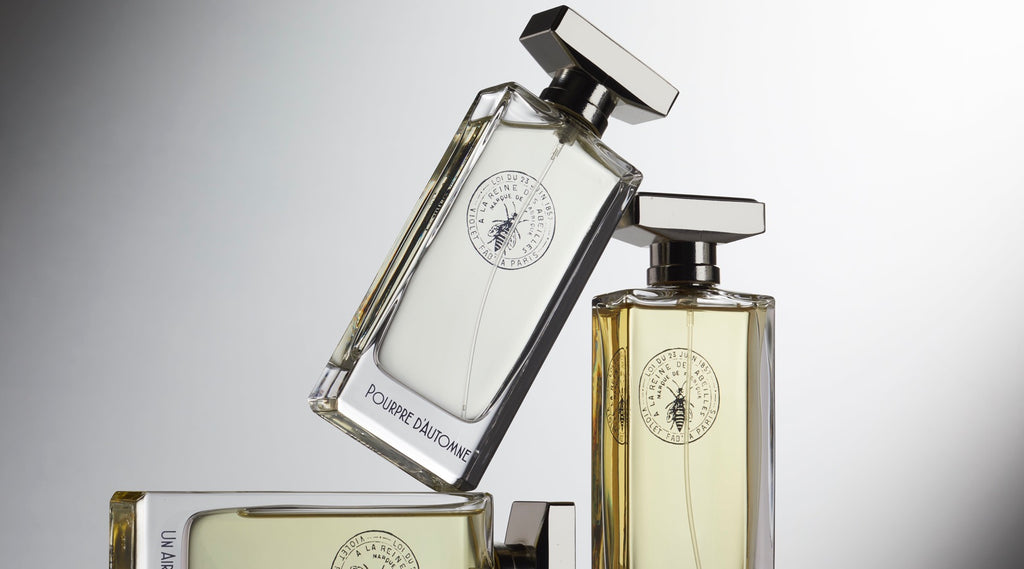 メゾンヴィオレ コンプリモン メゾン・ヴィオレ / コンプリマンの