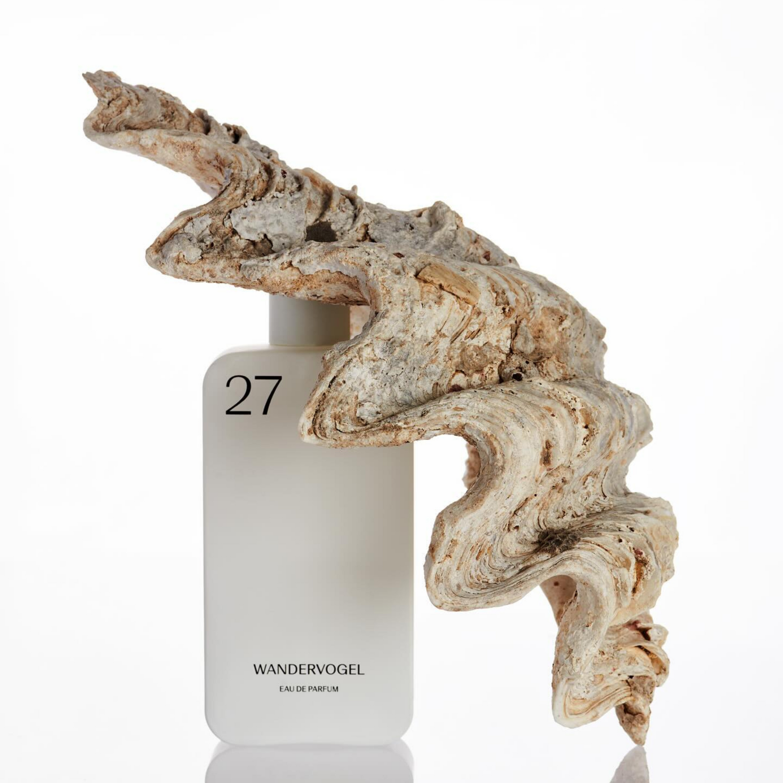 ワンダーフォーゲル – NOSE SHOP