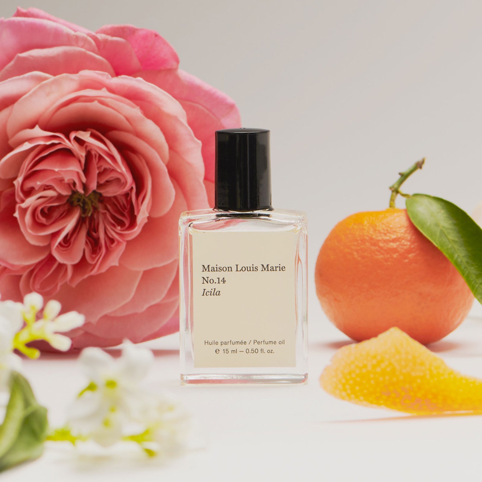 MLM_No.14__02_49c3218d-bac1-