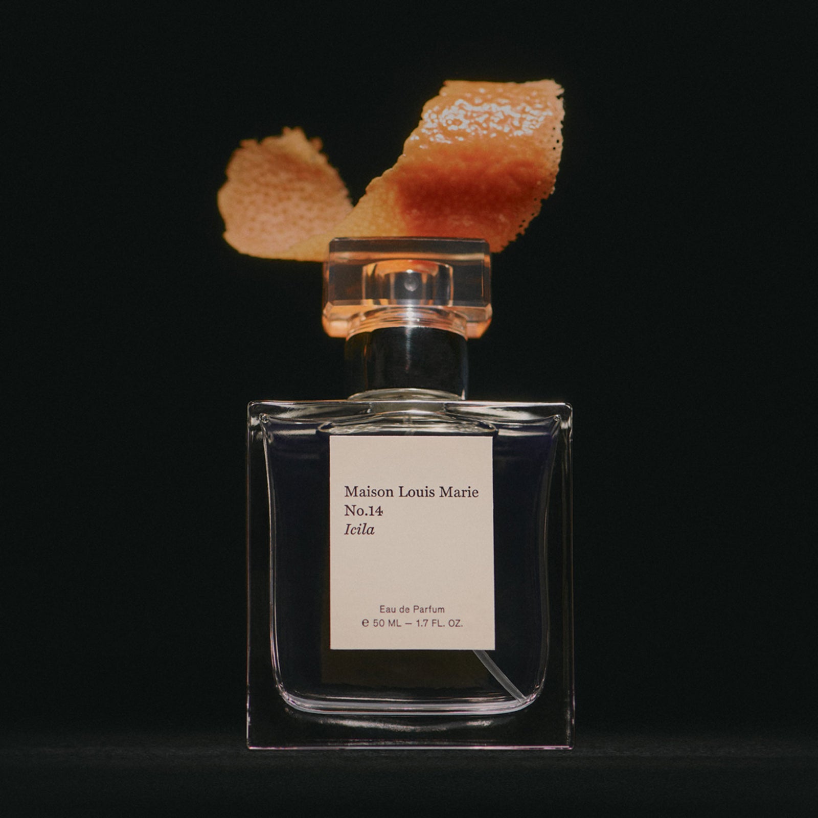 MLM_No.14__02_9f1e8db5-35c2-