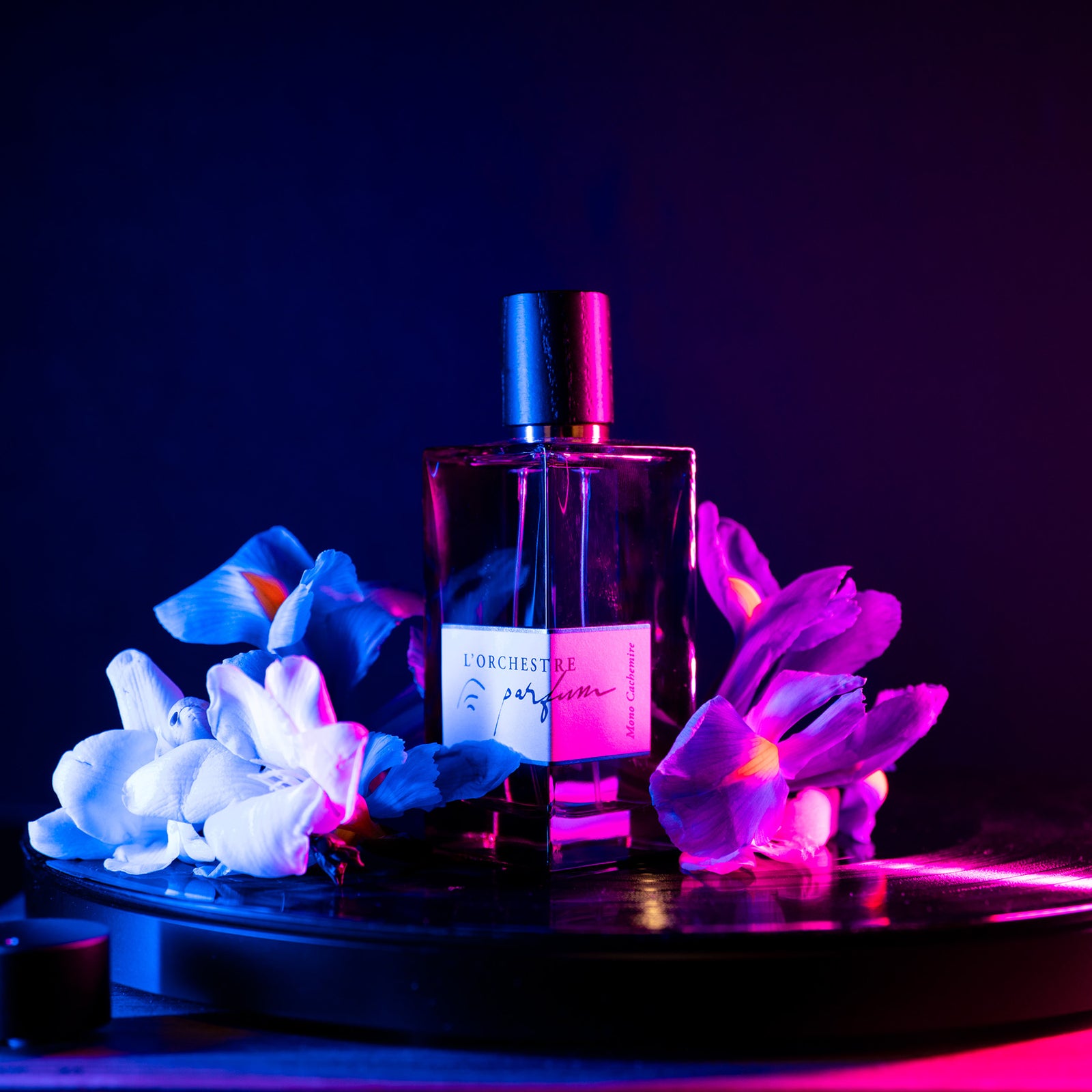 モノ カシミア – NOSE SHOP