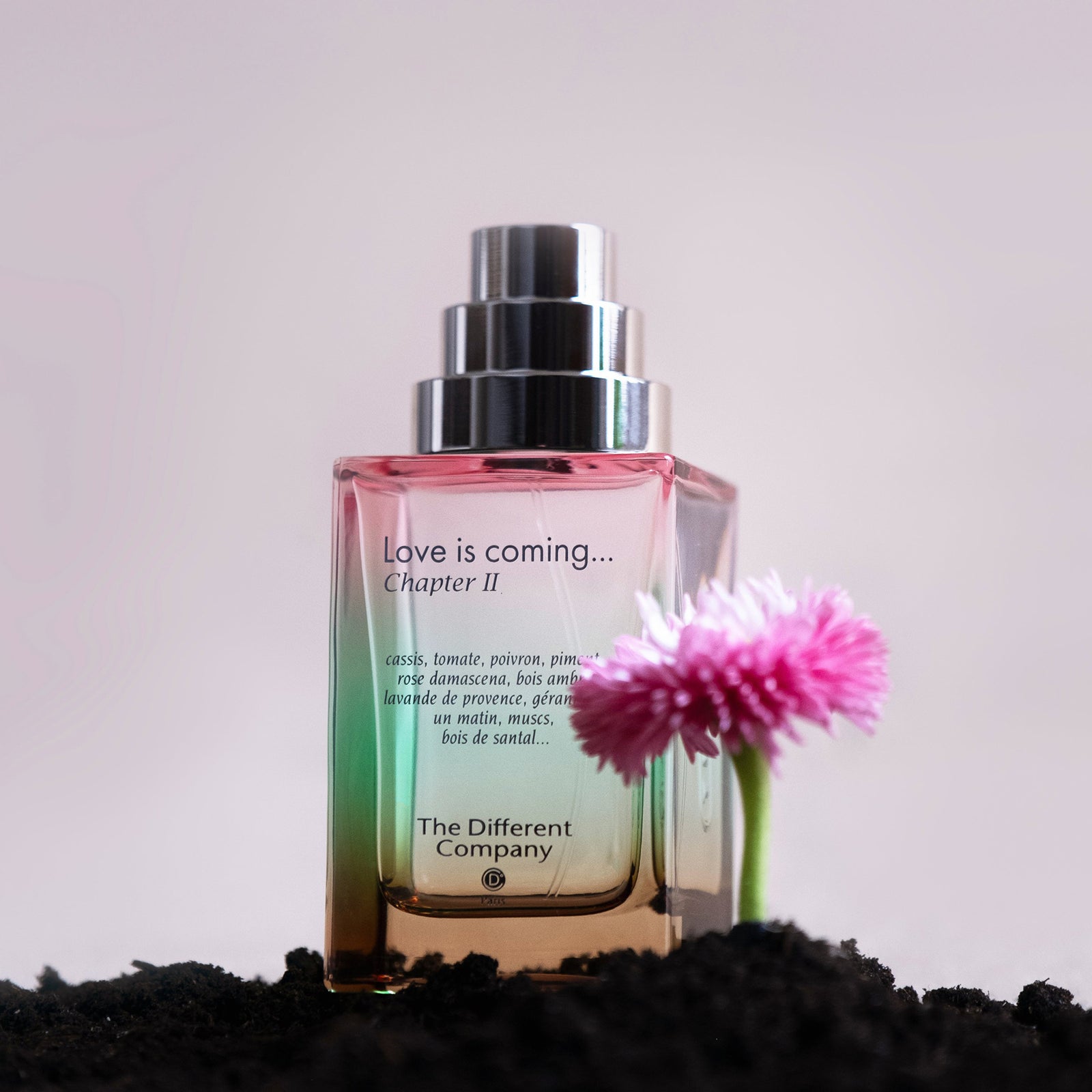 ラヴ イズ カミング チャプターⅡ – NOSE SHOP