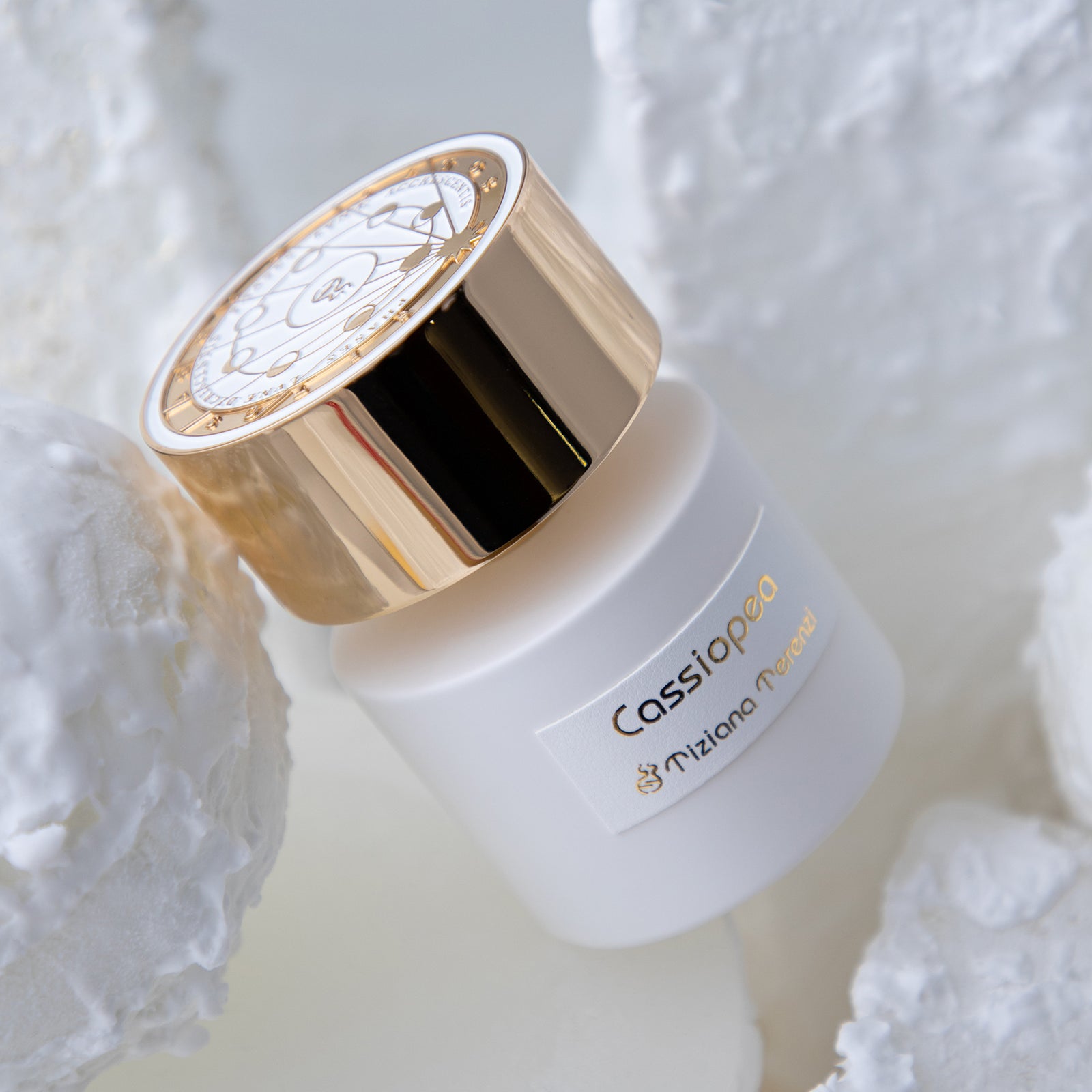 カシオペア｜カシオペア – NOSE SHOP